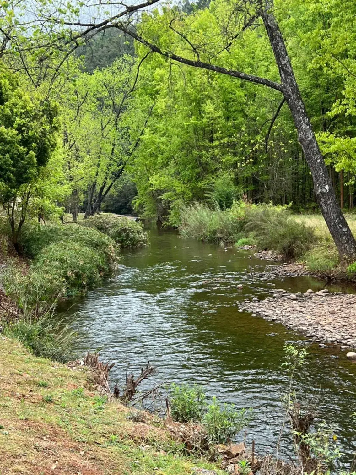 River view in Merry Pebbles Resort River view in Merry Pebbles Resort