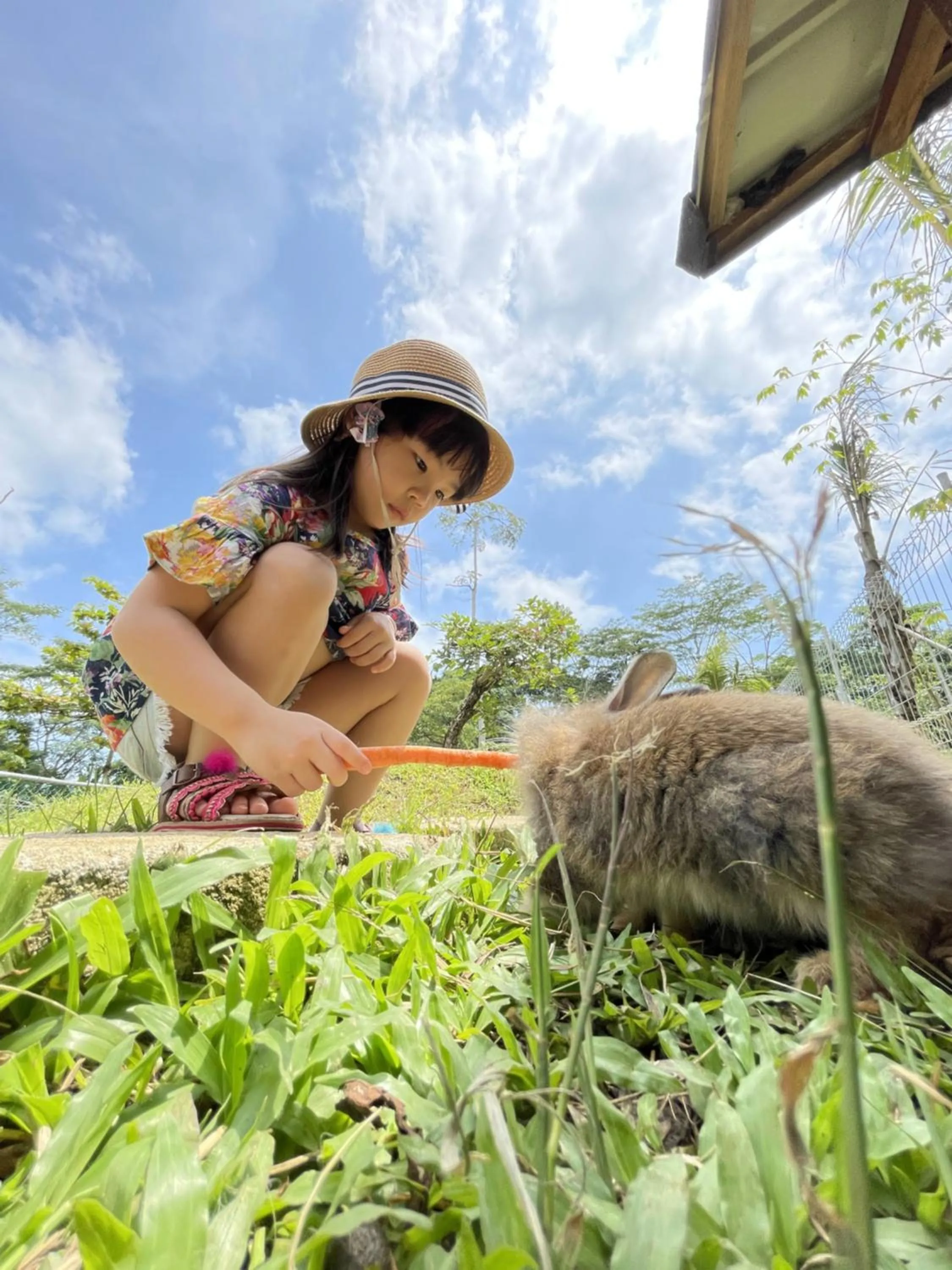 Animals in Mutiara Carita Cottages