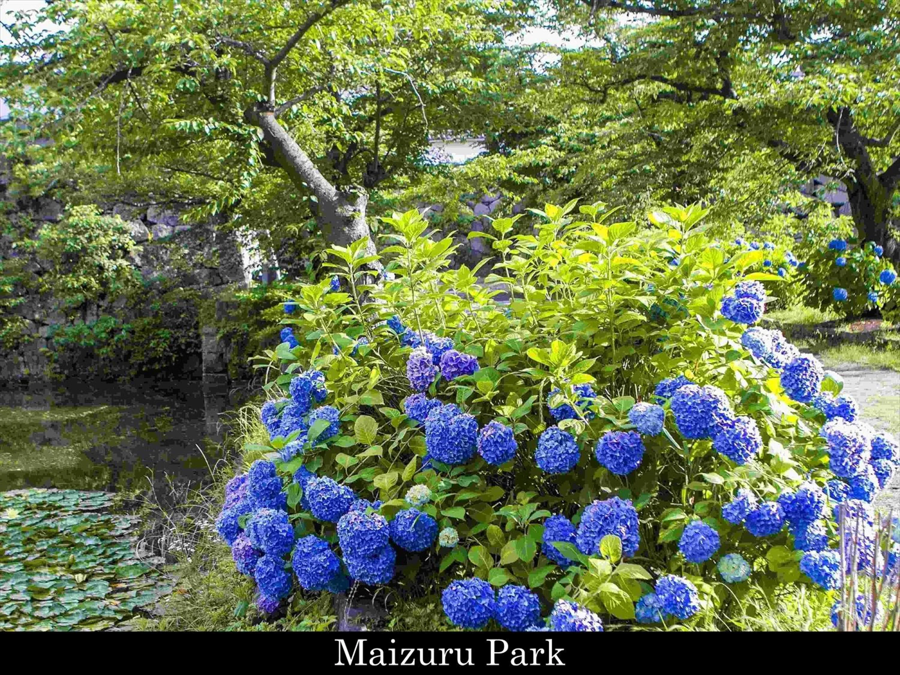Nearby landmark in Tokyu Stay Fukuoka Tenjin