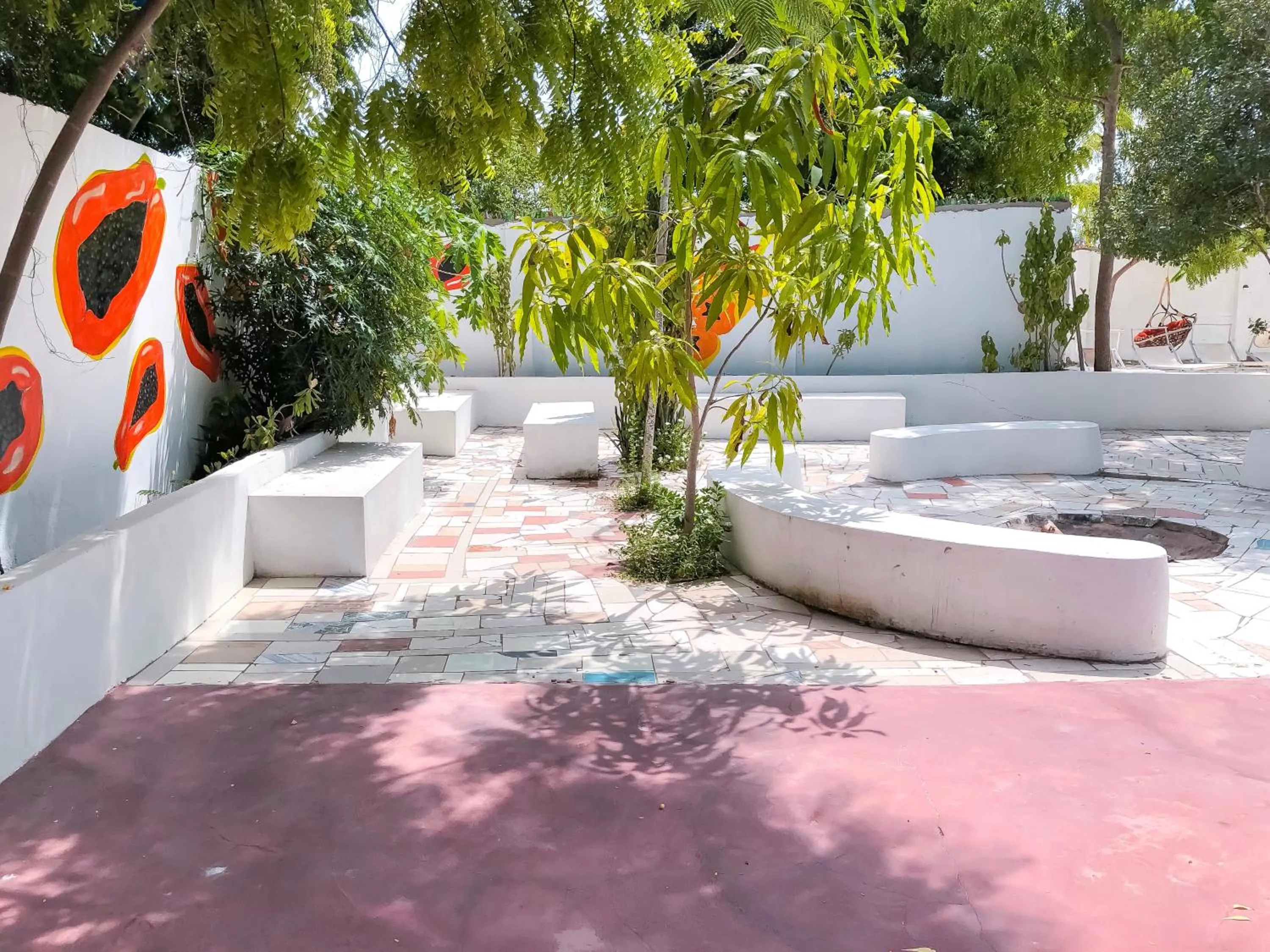 Garden in Papaya Guest House Nungwi