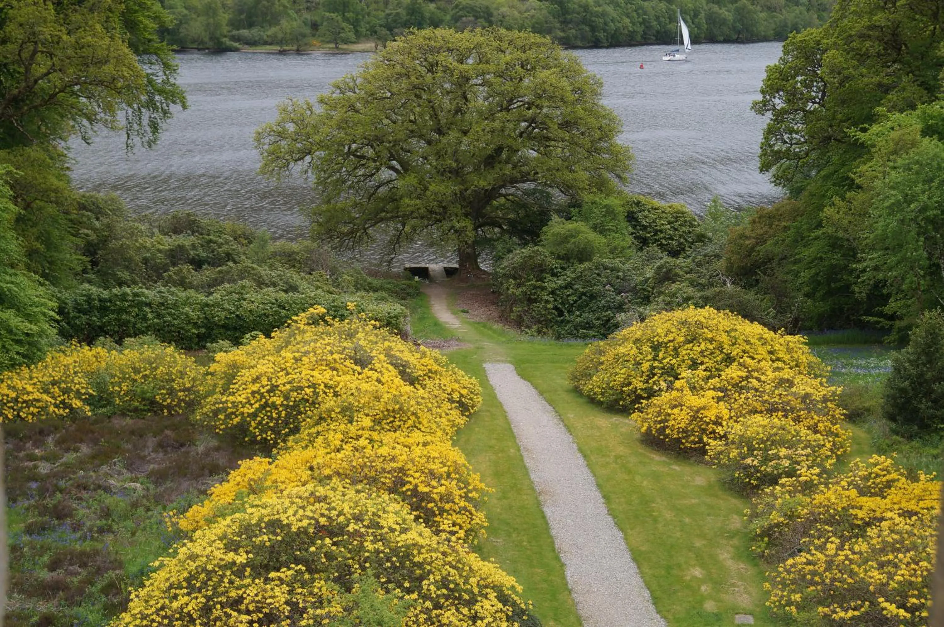 View (from property/room) in Glengarry Castle Hotel
