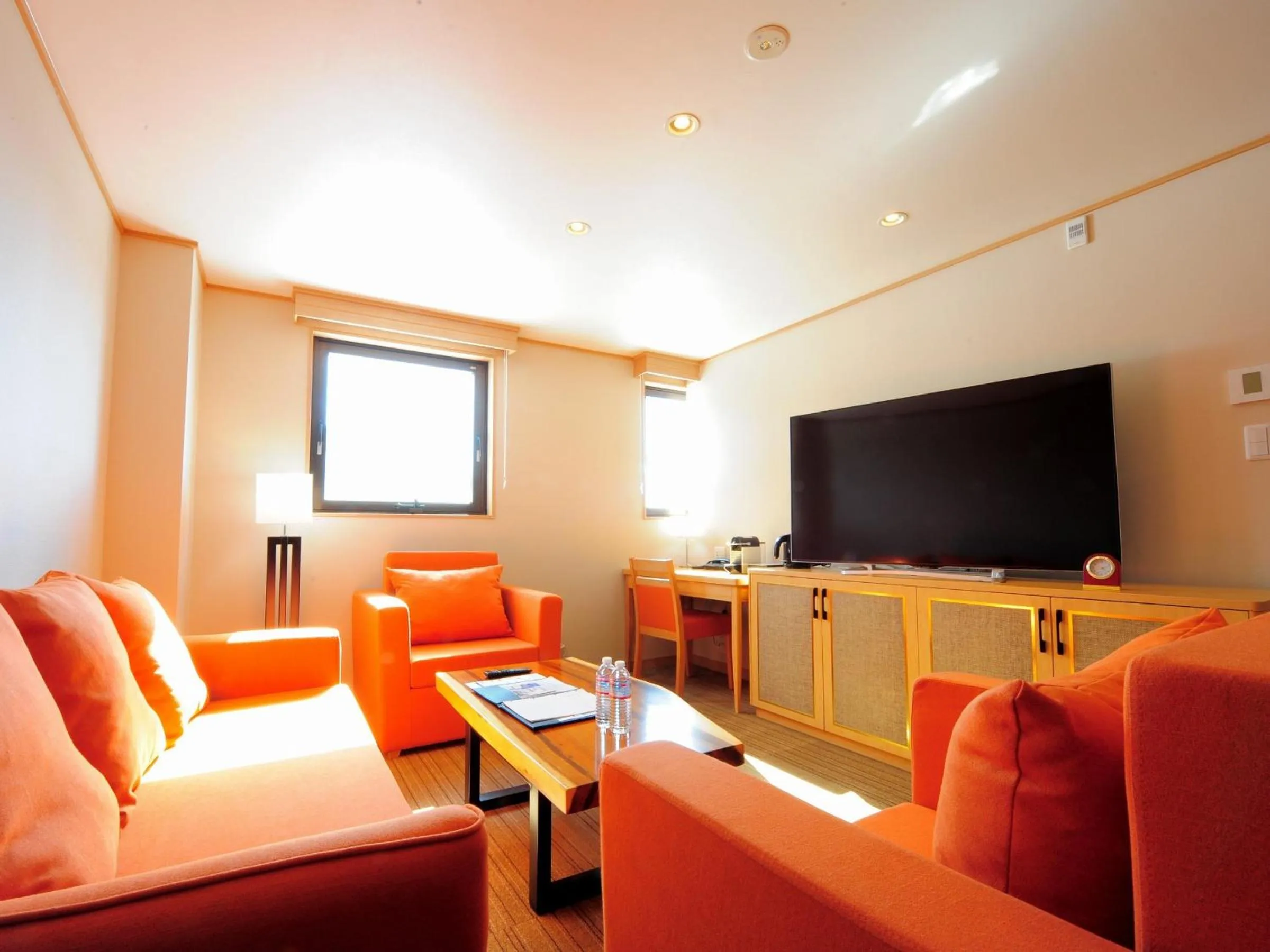 TV and multimedia in T Hotel Ryuoo