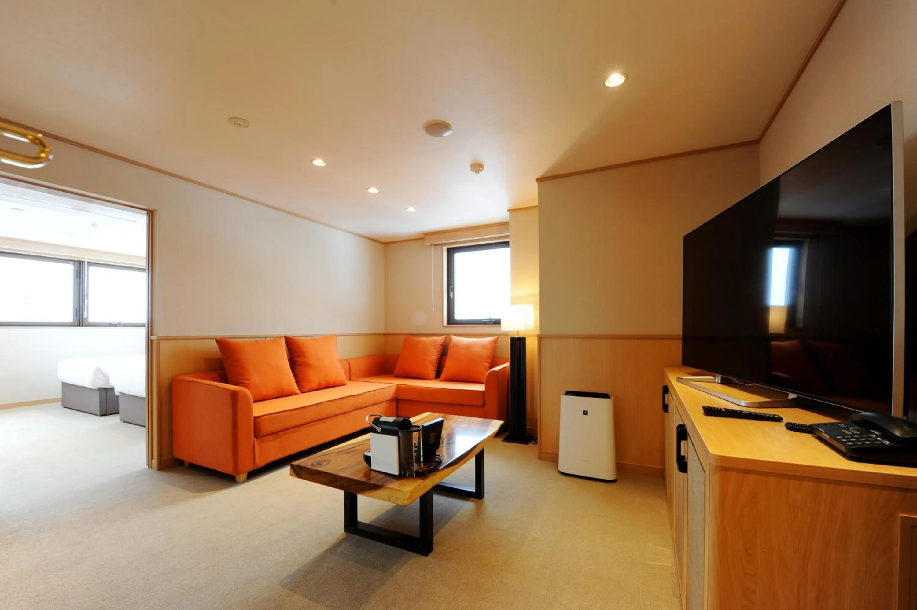 TV and multimedia in T Hotel Ryuoo