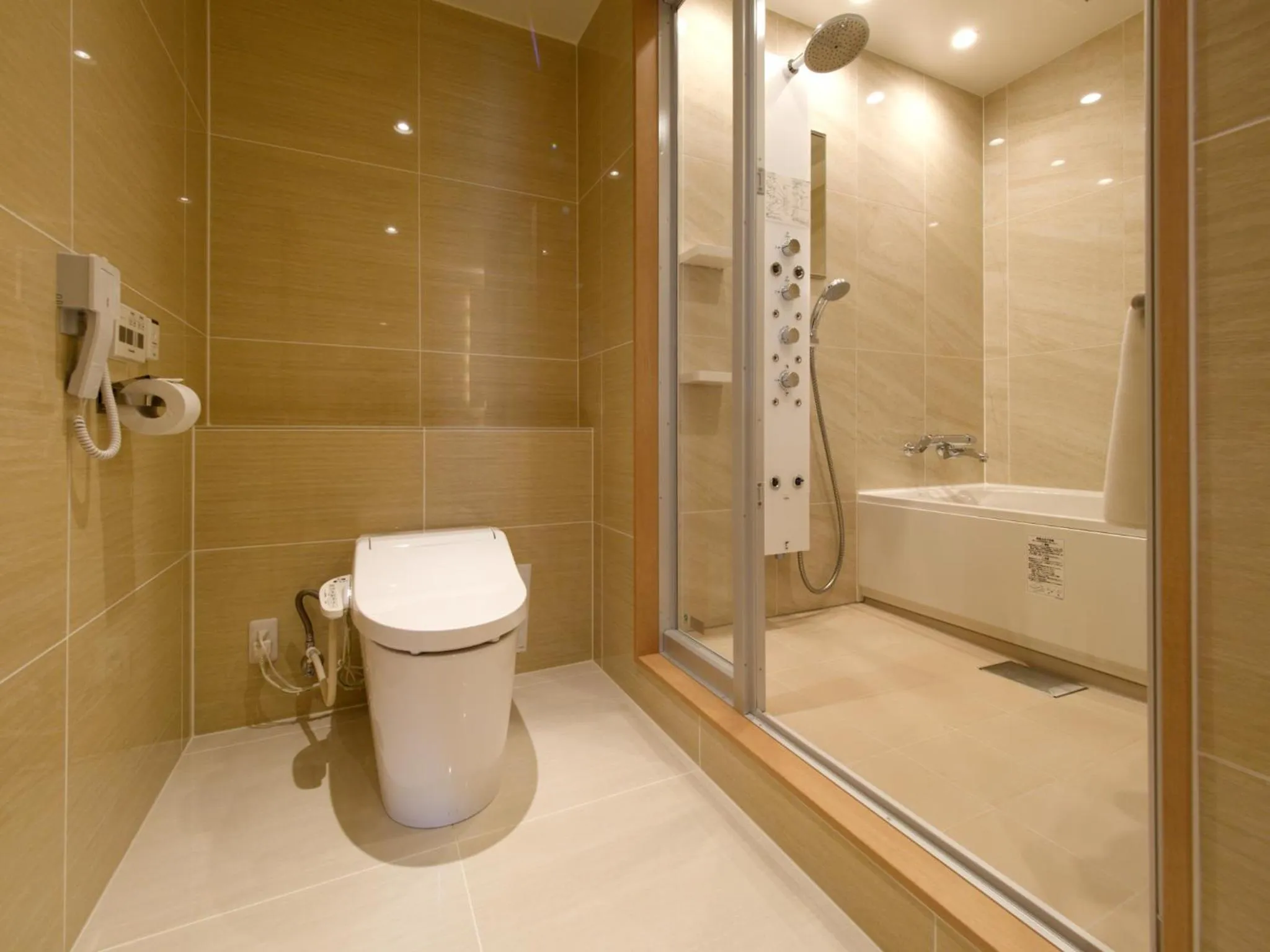 Toilet in T Hotel Ryuoo