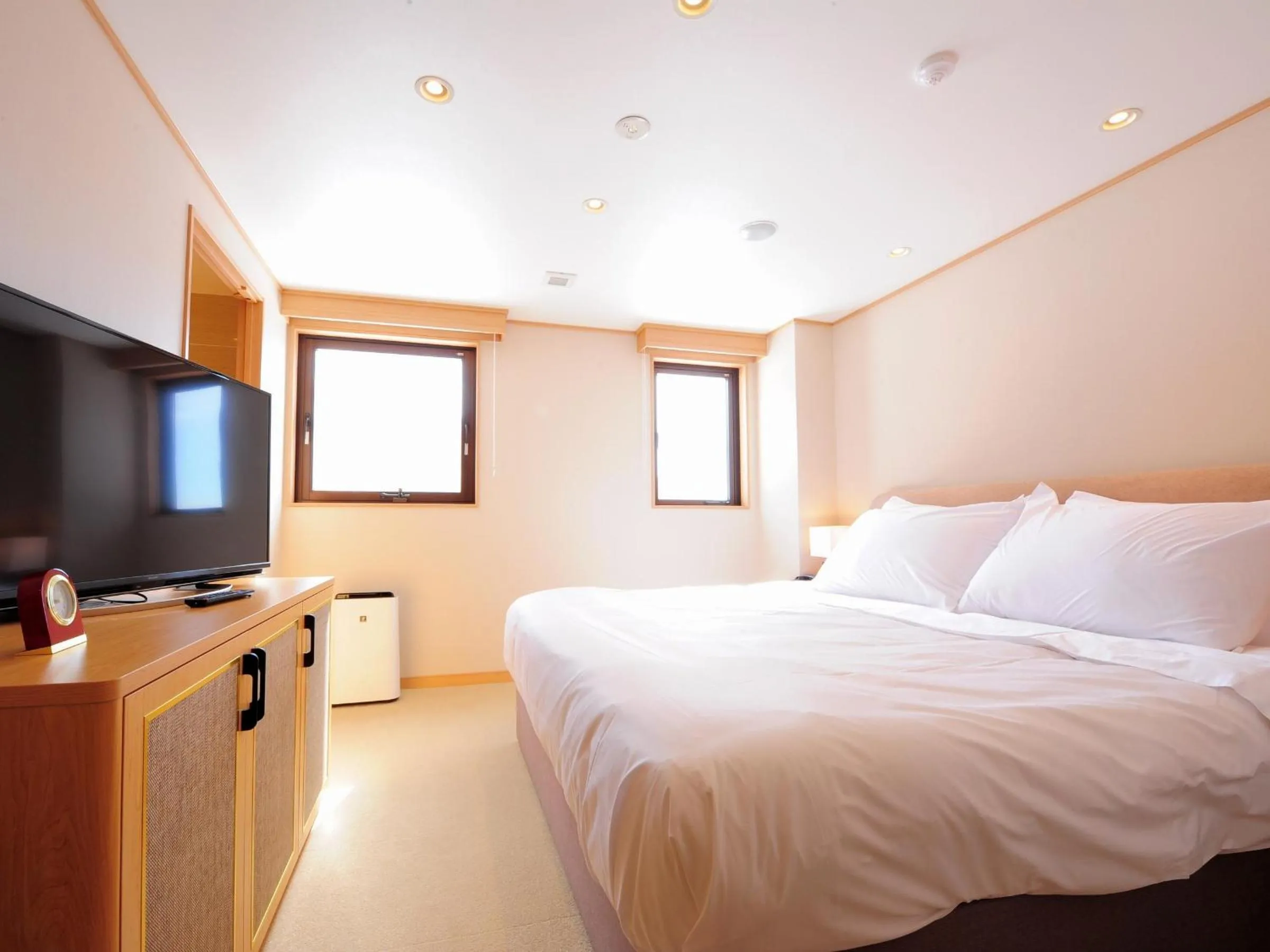 Photo of the whole room, Bed in T Hotel Ryuoo