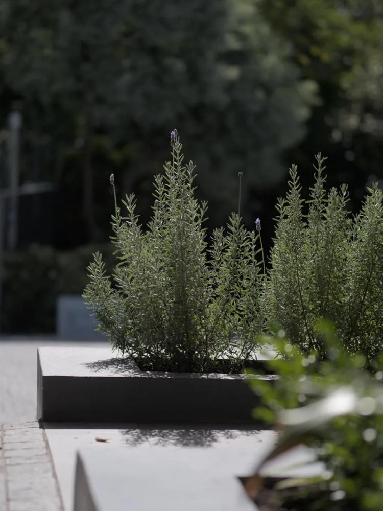 Day in Arbour1 Guesthouse