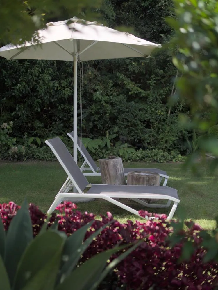 Garden in Arbour1 Guesthouse