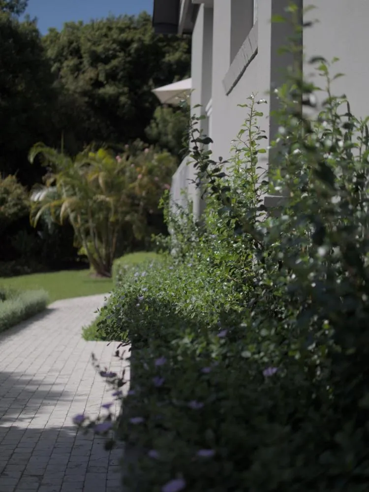 Garden in Arbour1 Guesthouse