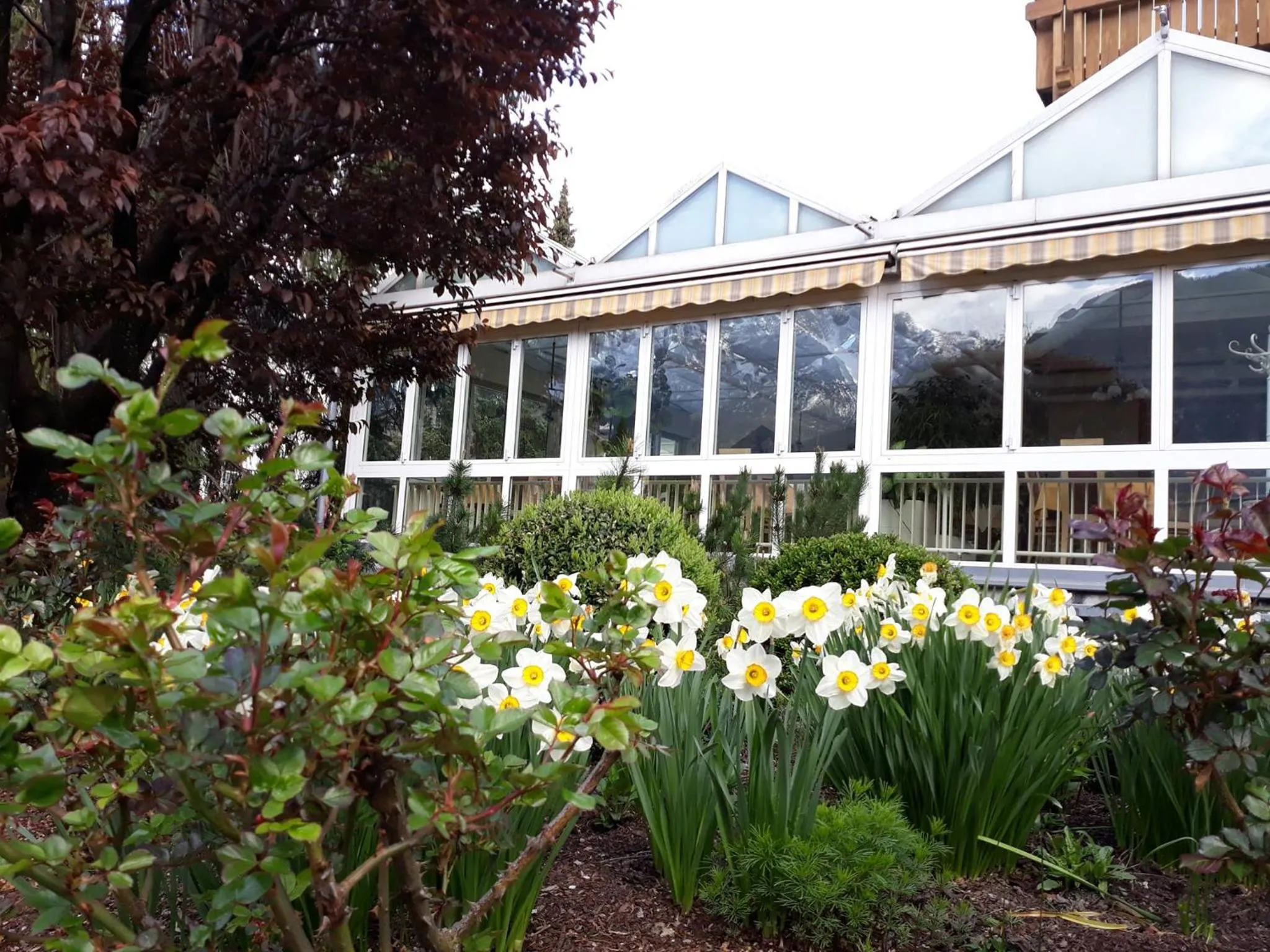 Spring in Dolomitenhotel Lienz