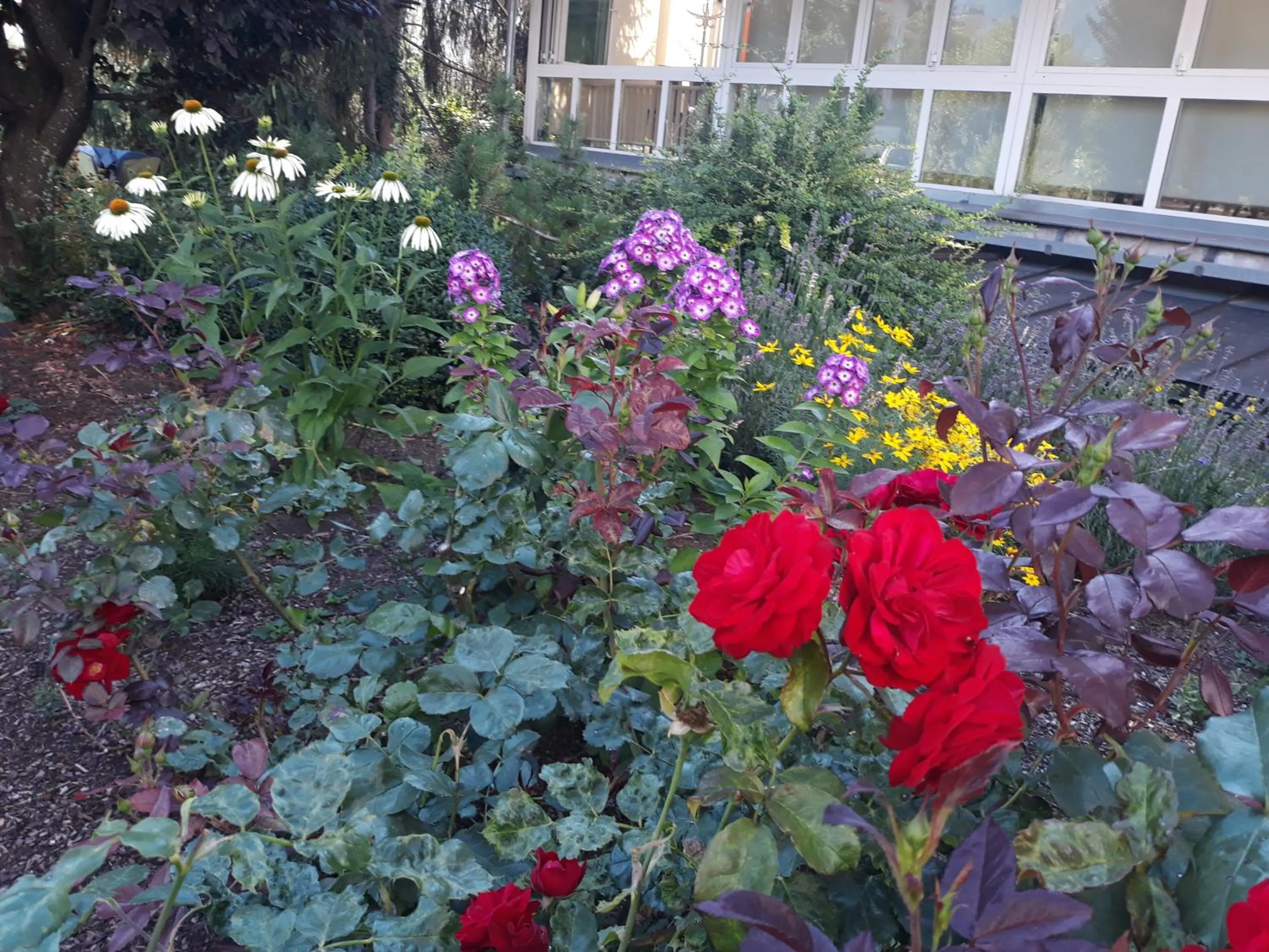 Spring in Dolomitenhotel Lienz