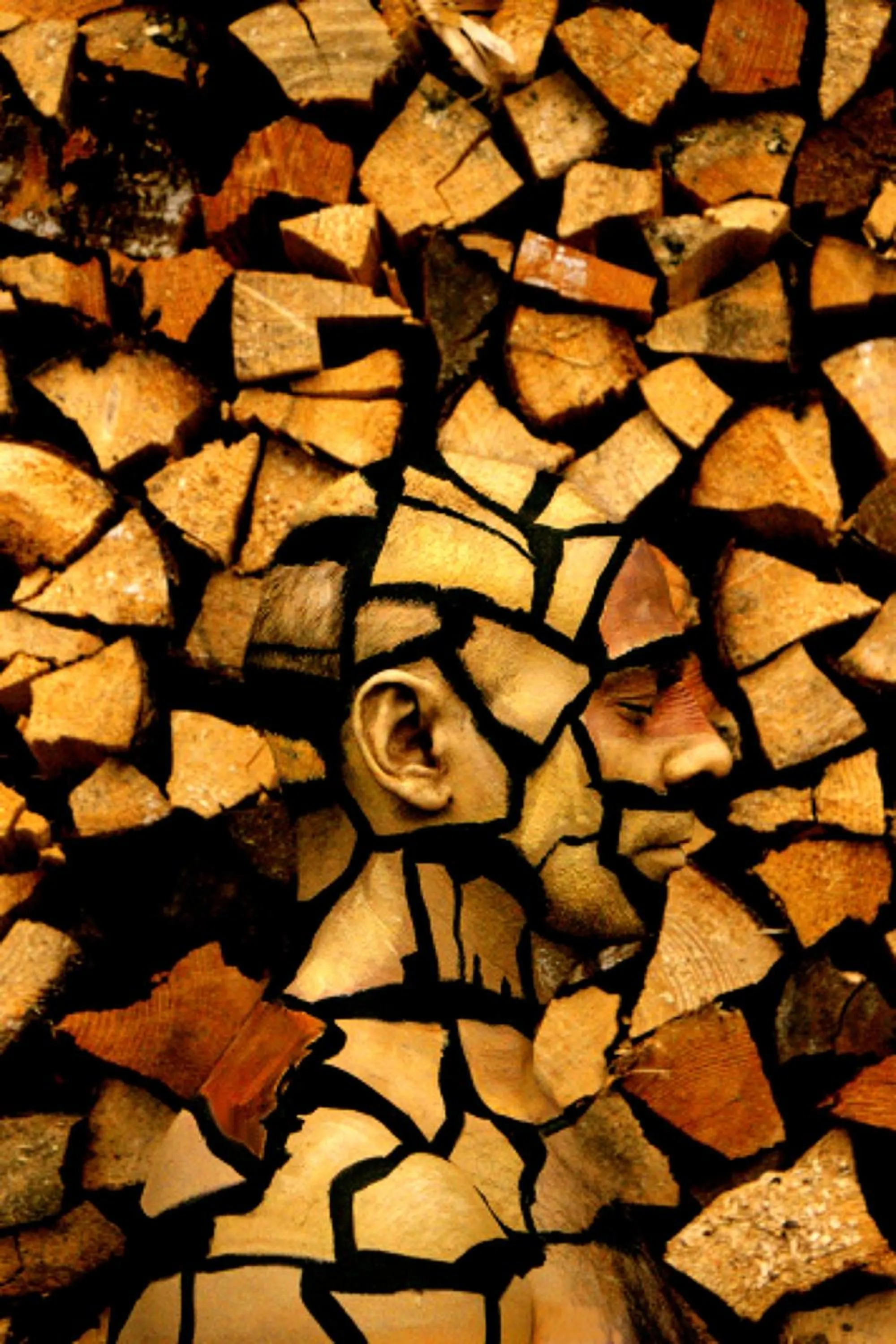 Living room in Residence Innichen - San Candido