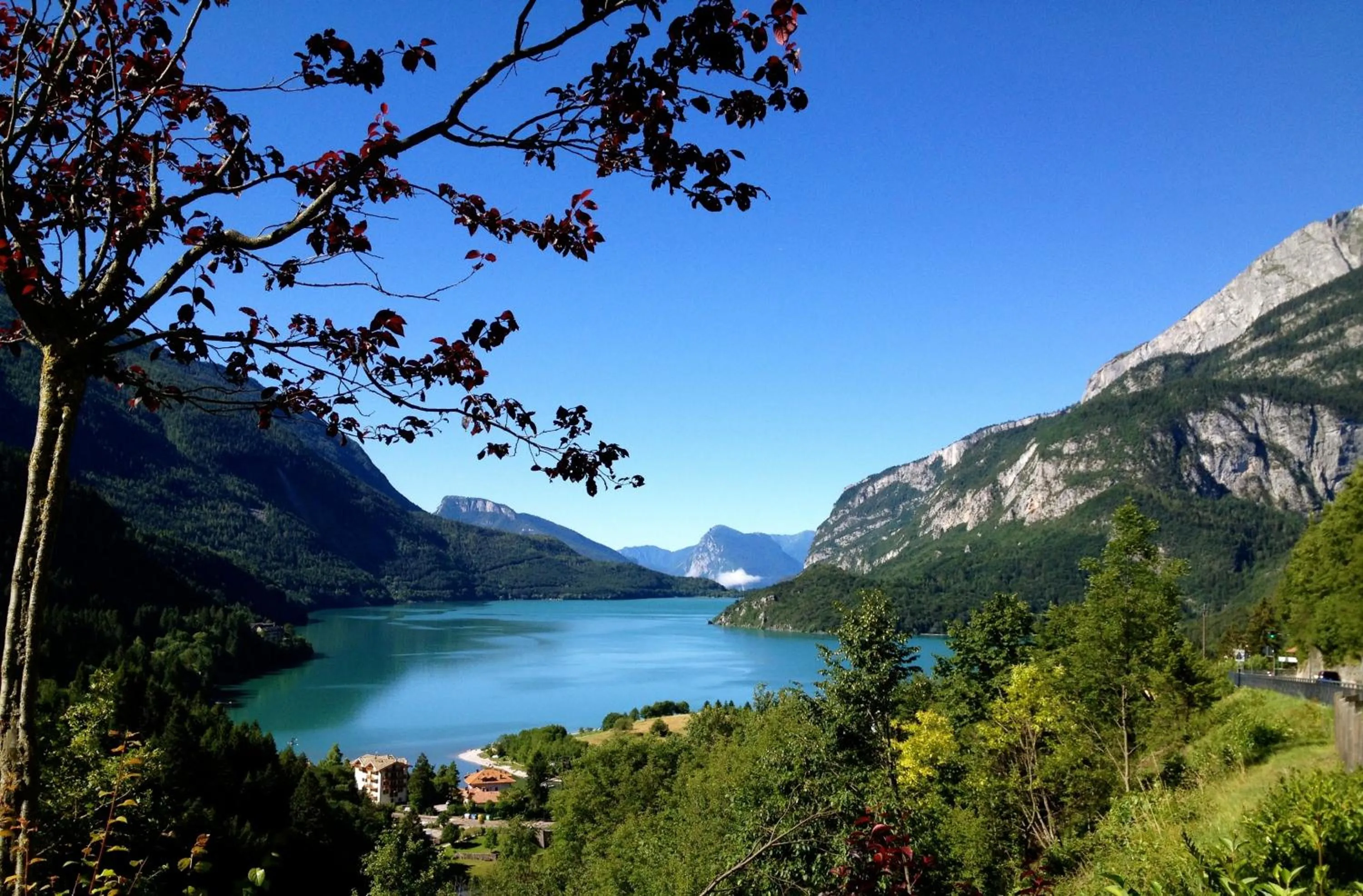 Natural landscape in Alledolomiti Boutique Lake Hotel - Adults friendly