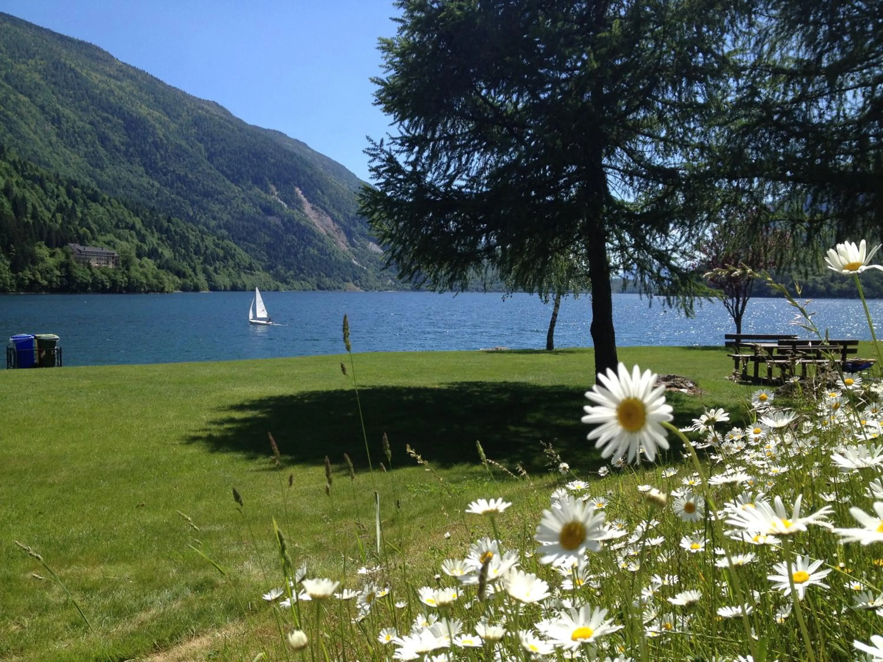 Natural landscape in Alledolomiti Boutique Lake Hotel - Adults friendly
