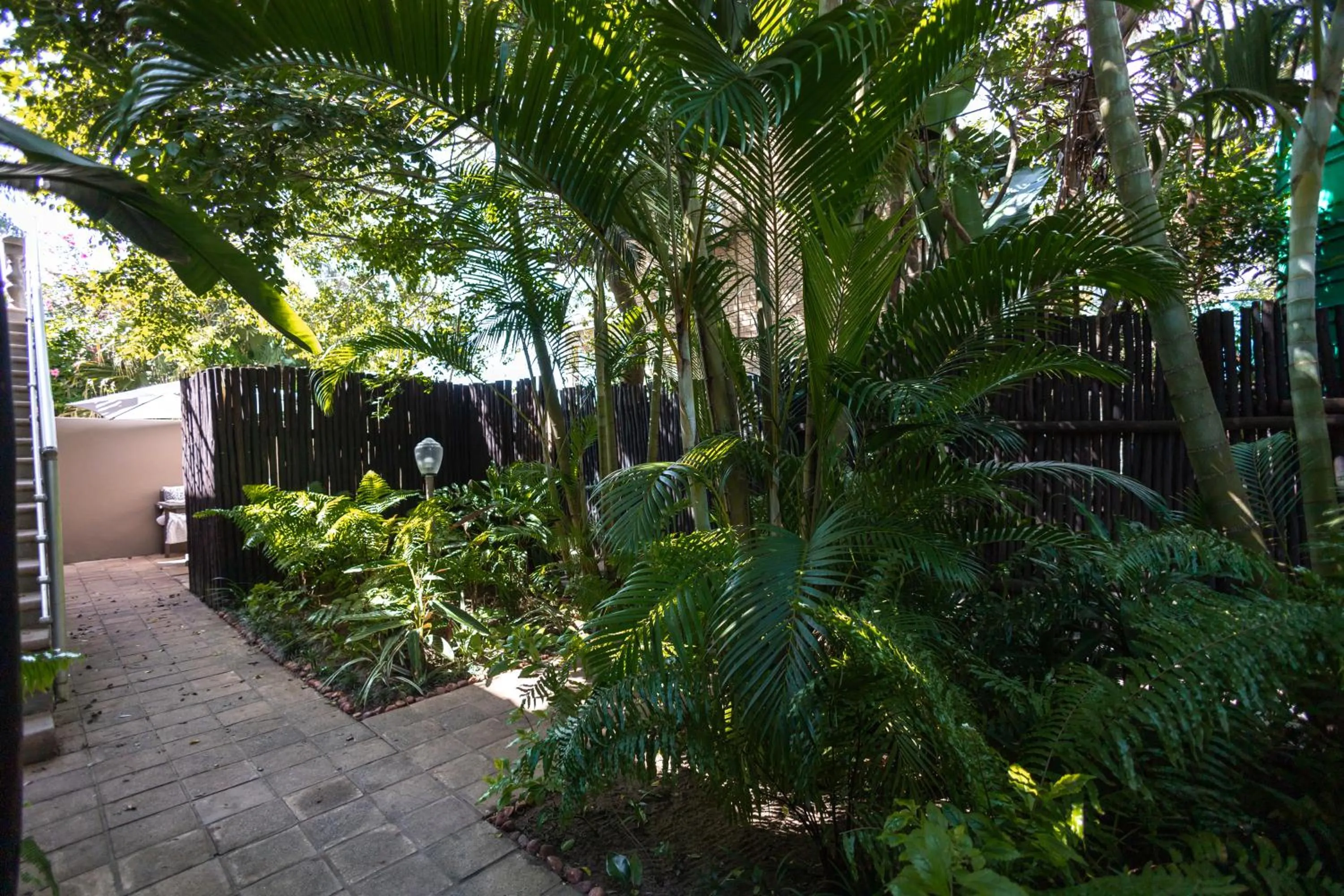 Garden view in Little Eden St Lucia