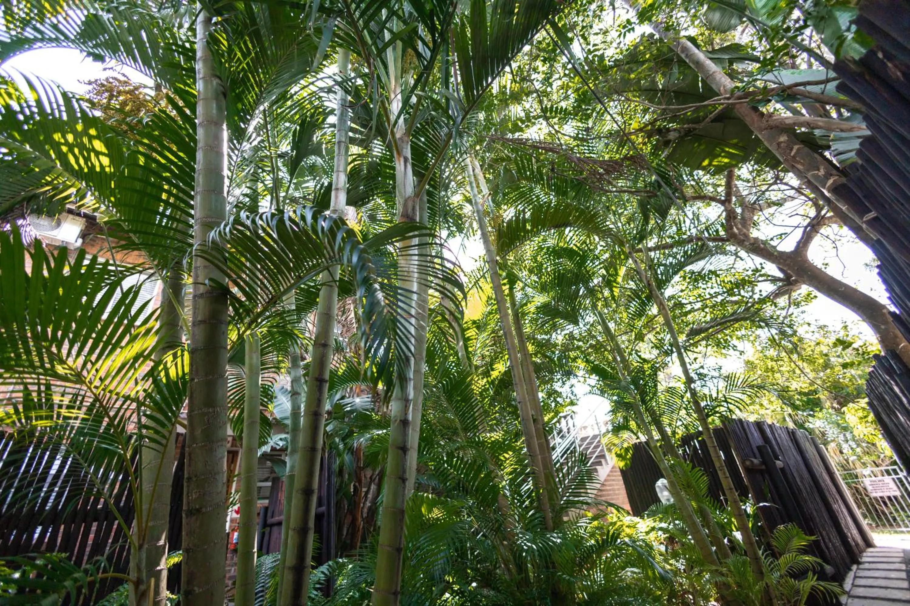 Garden in Little Eden St Lucia