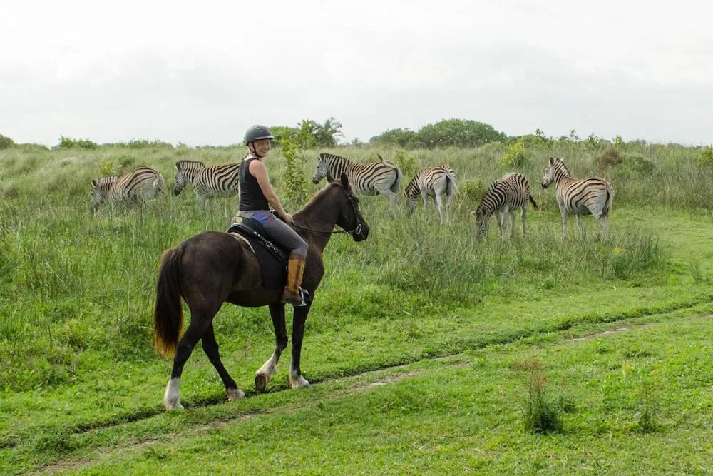 Horse-riding in Little Eden St Lucia