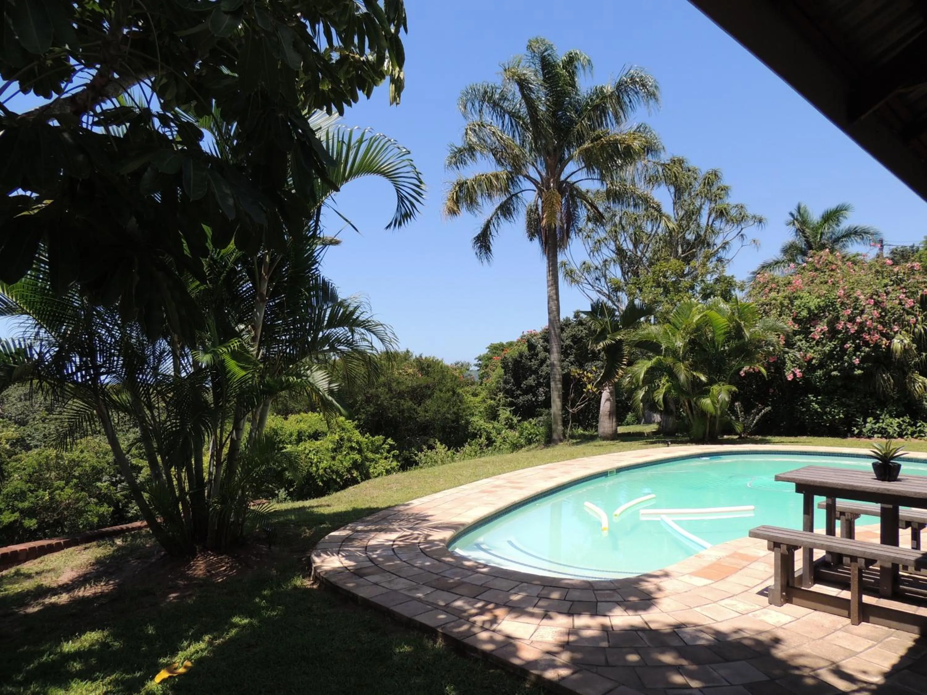 Garden in Little Eden St Lucia