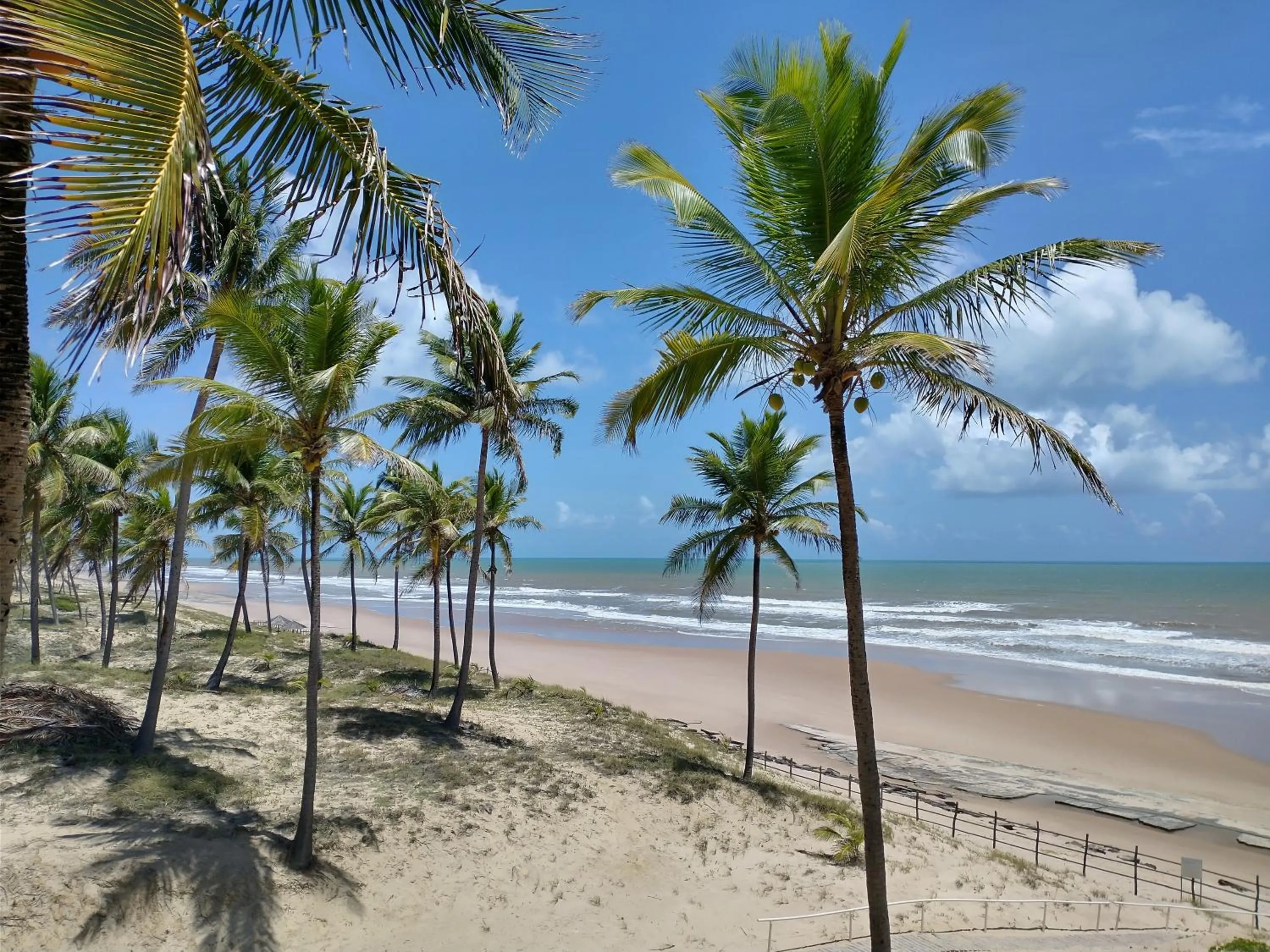 Natural landscape in Hotel Coco Beach