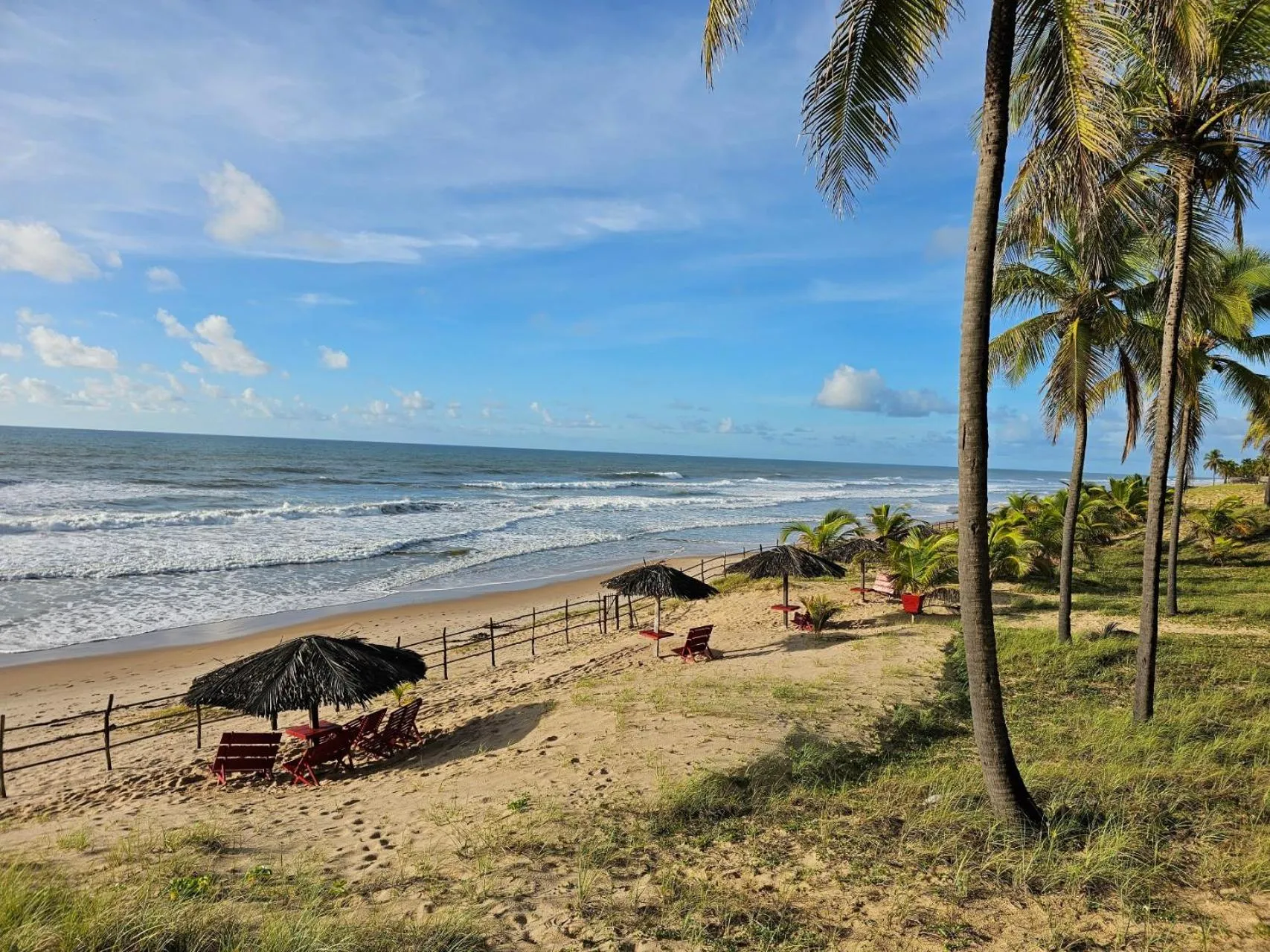 Natural landscape in Hotel Coco Beach