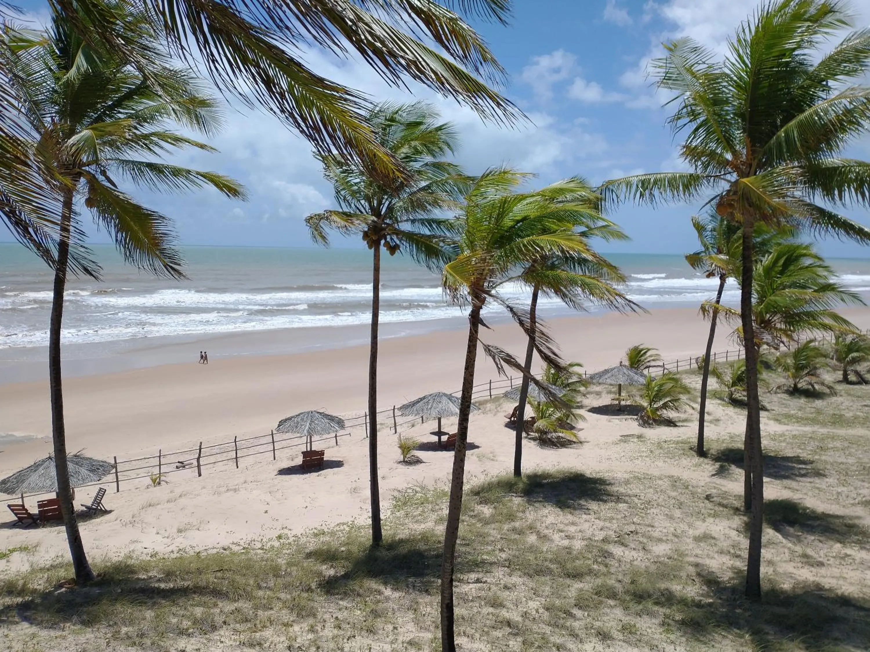 Natural landscape in Hotel Coco Beach