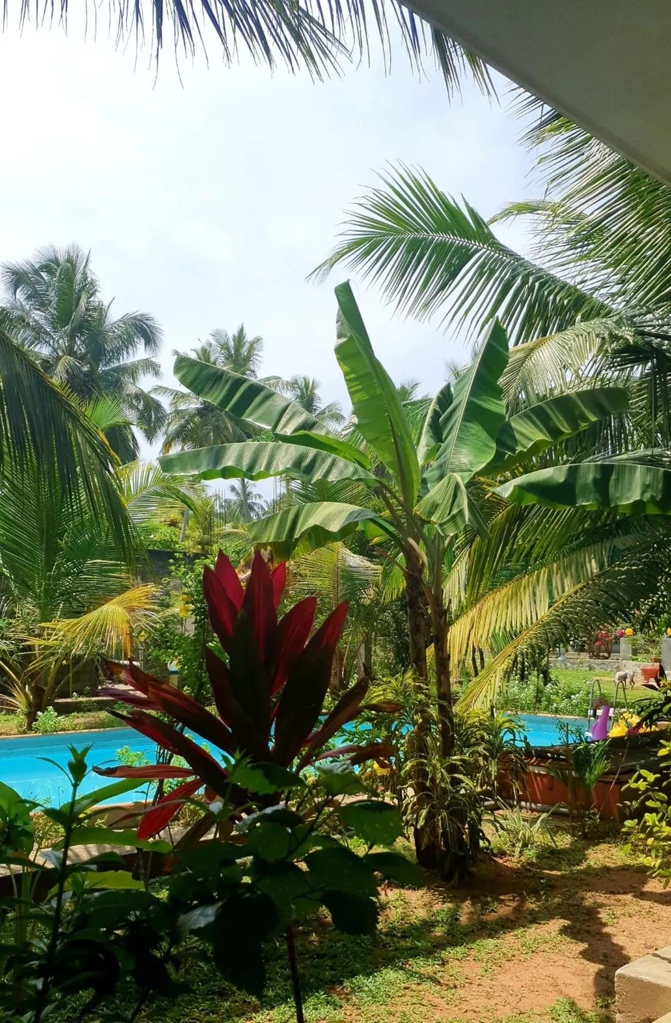Garden in La Perla Bentota