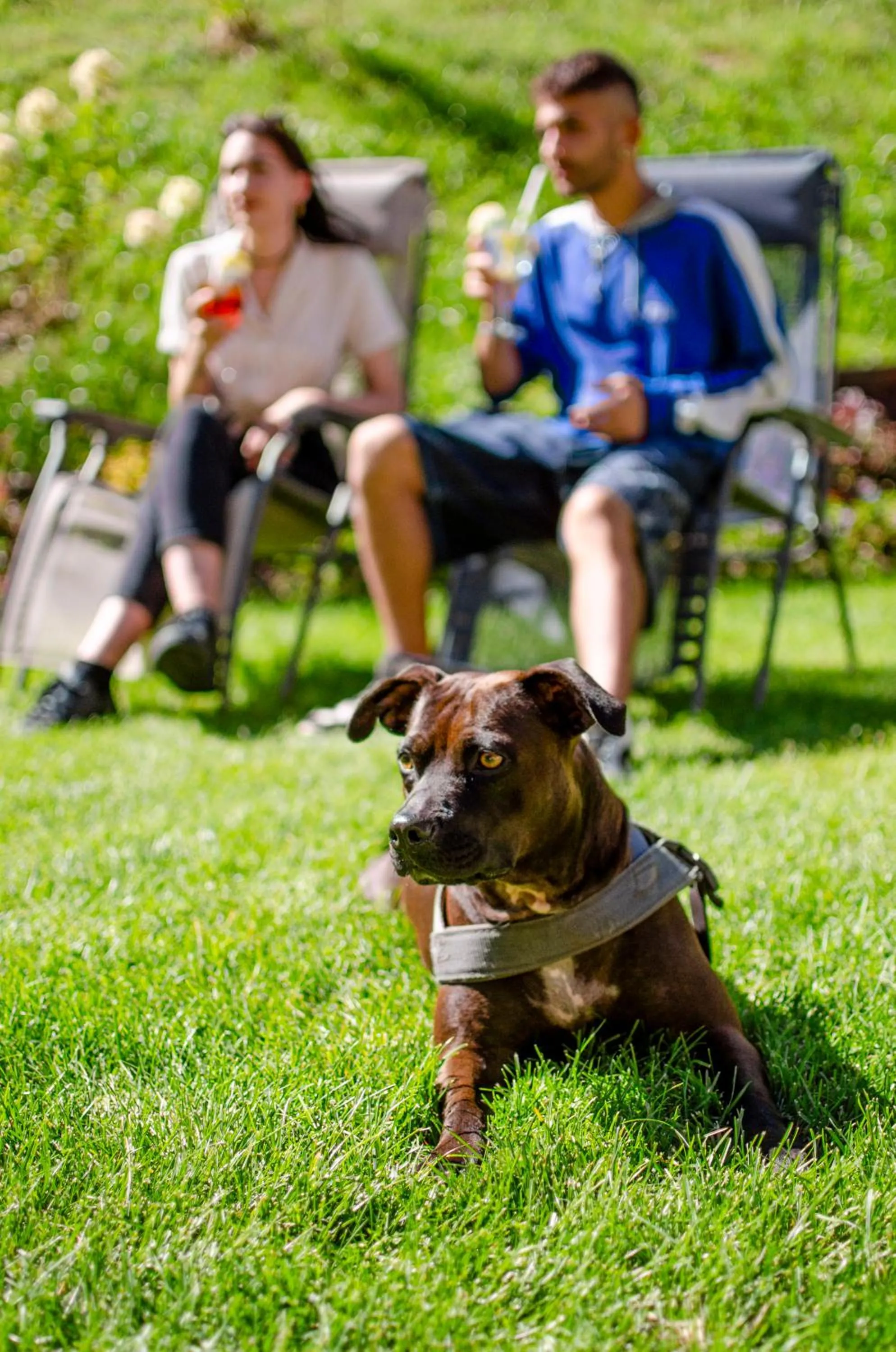 Garden in Flos Hotel