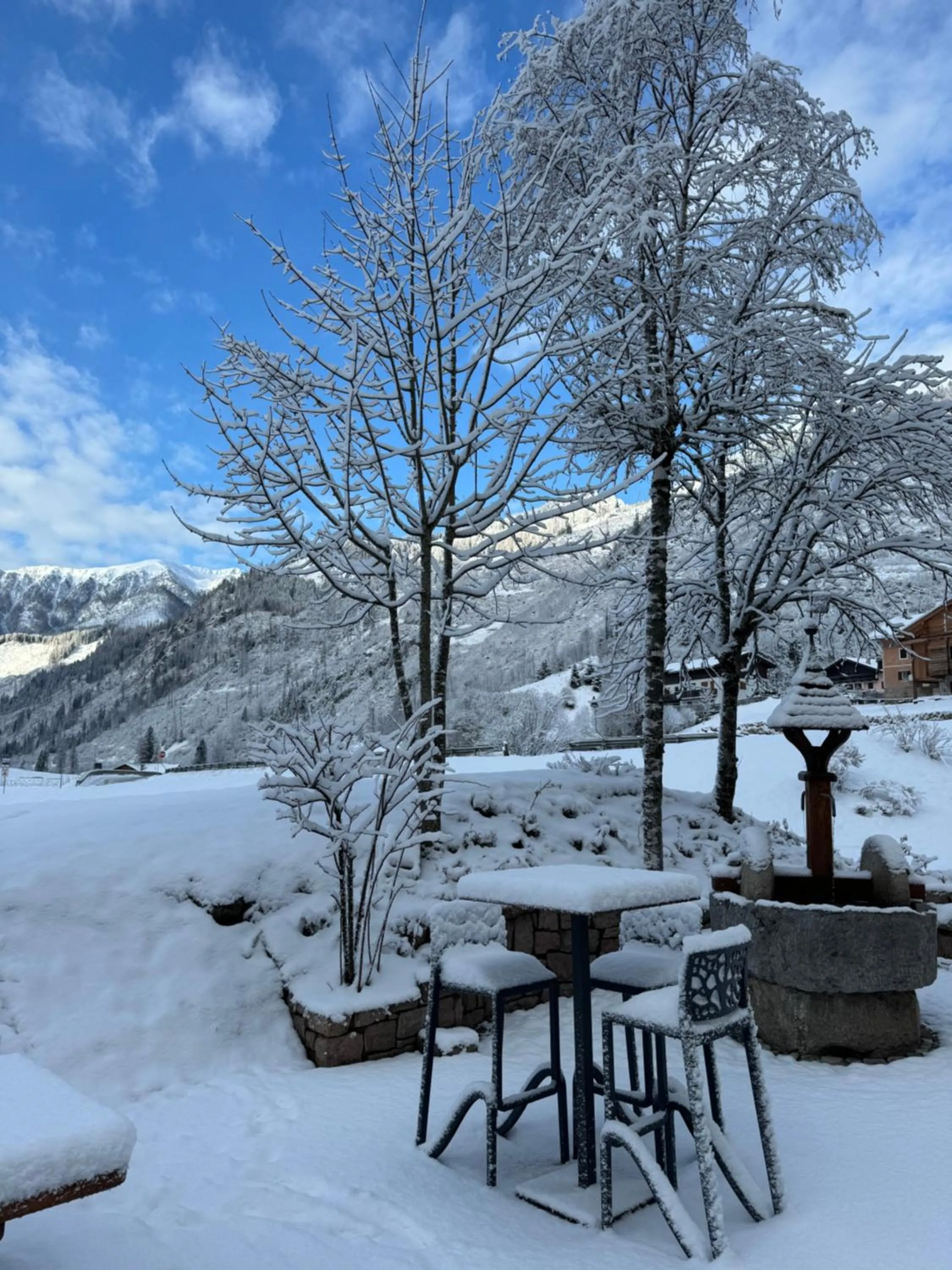 Garden in Flos Hotel