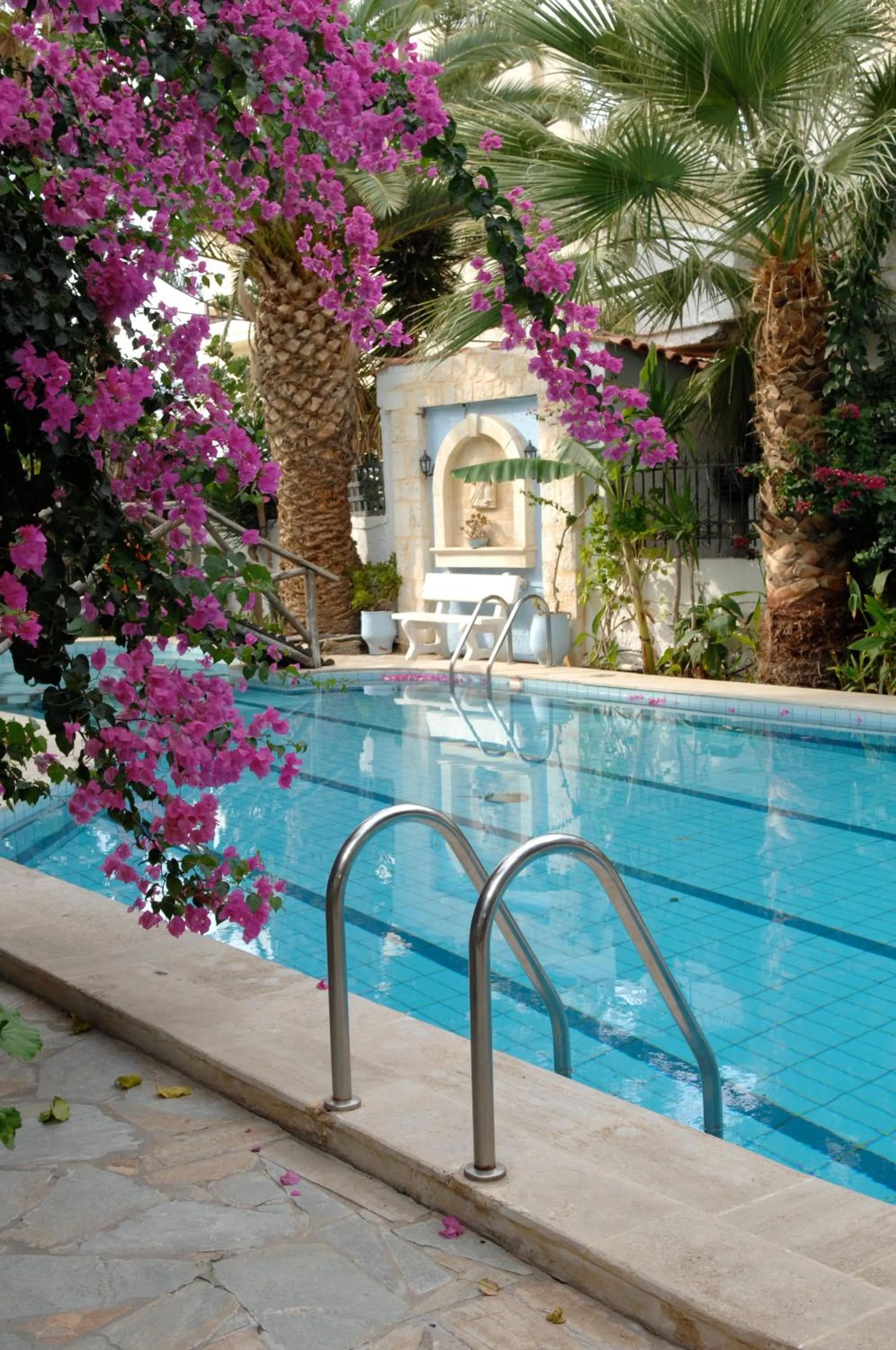 Swimming pool in Minoa Apartments