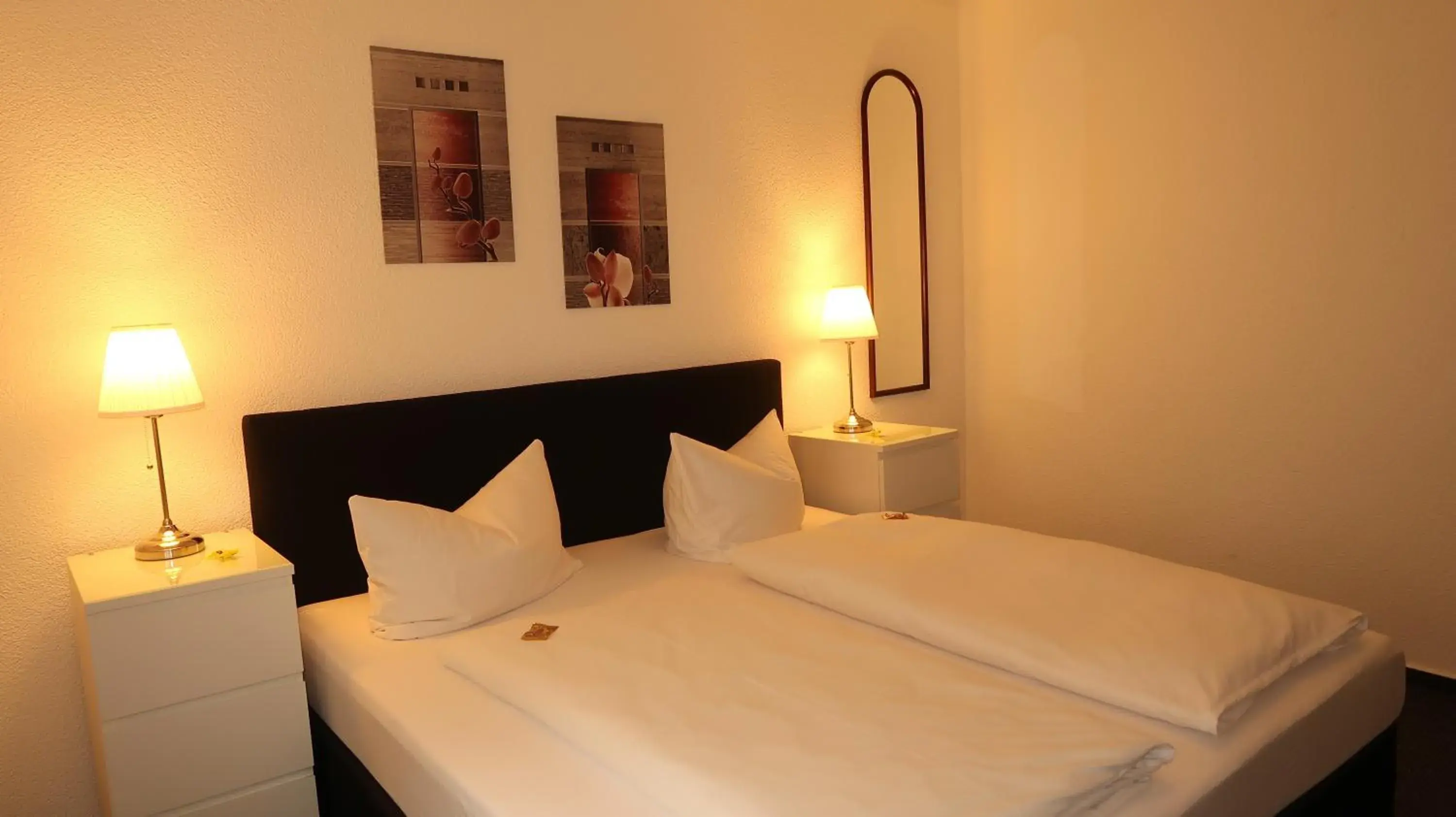 Double Room - single occupancy in Hotel Zur Kripp Double Room - single occupancy in Hotel Zur Kripp