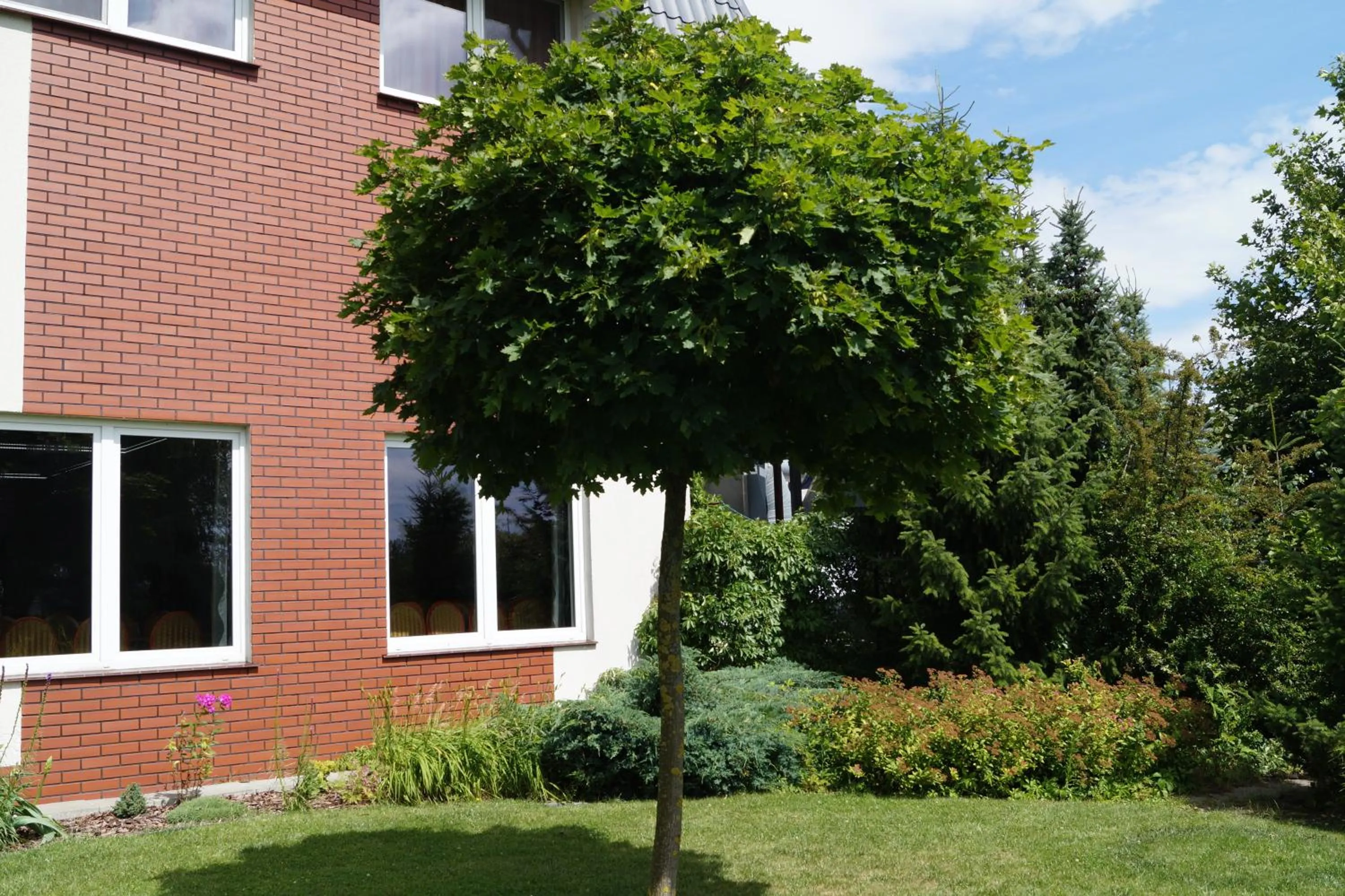 Property building in Hotel Podróżnik