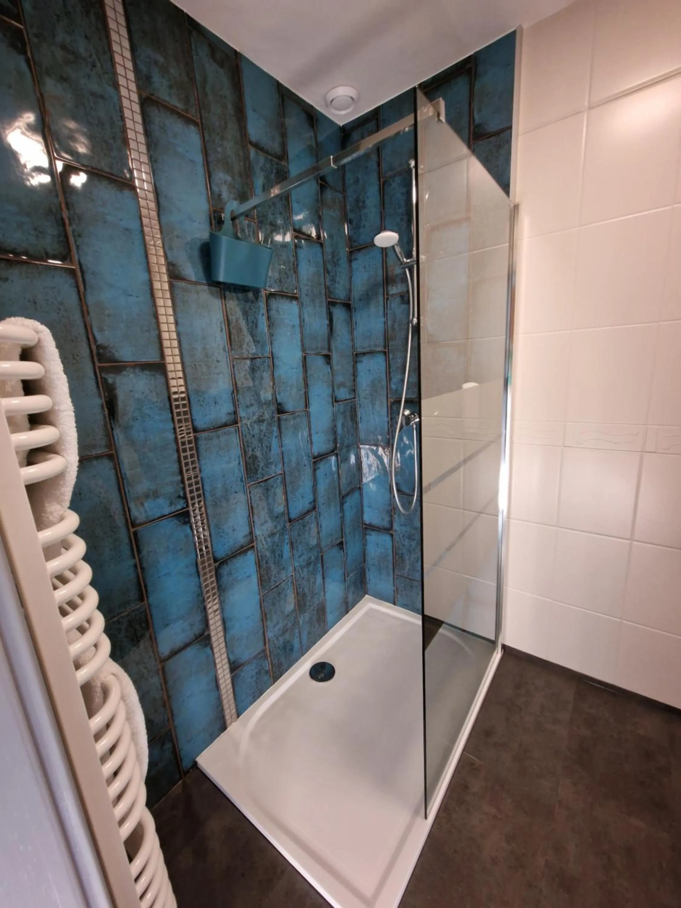 Shower in Hotel Podróżnik