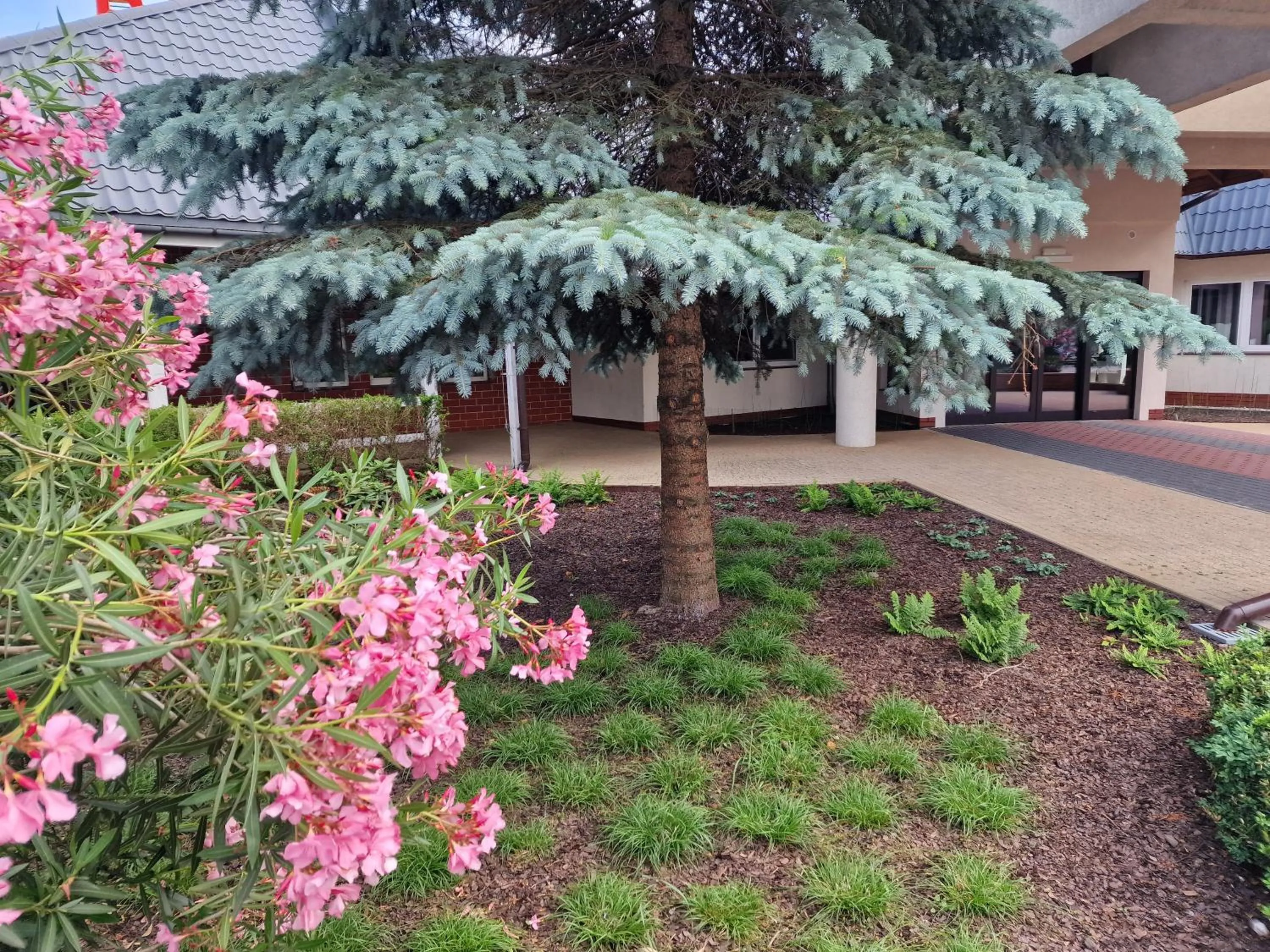 Property building in Hotel Podróżnik