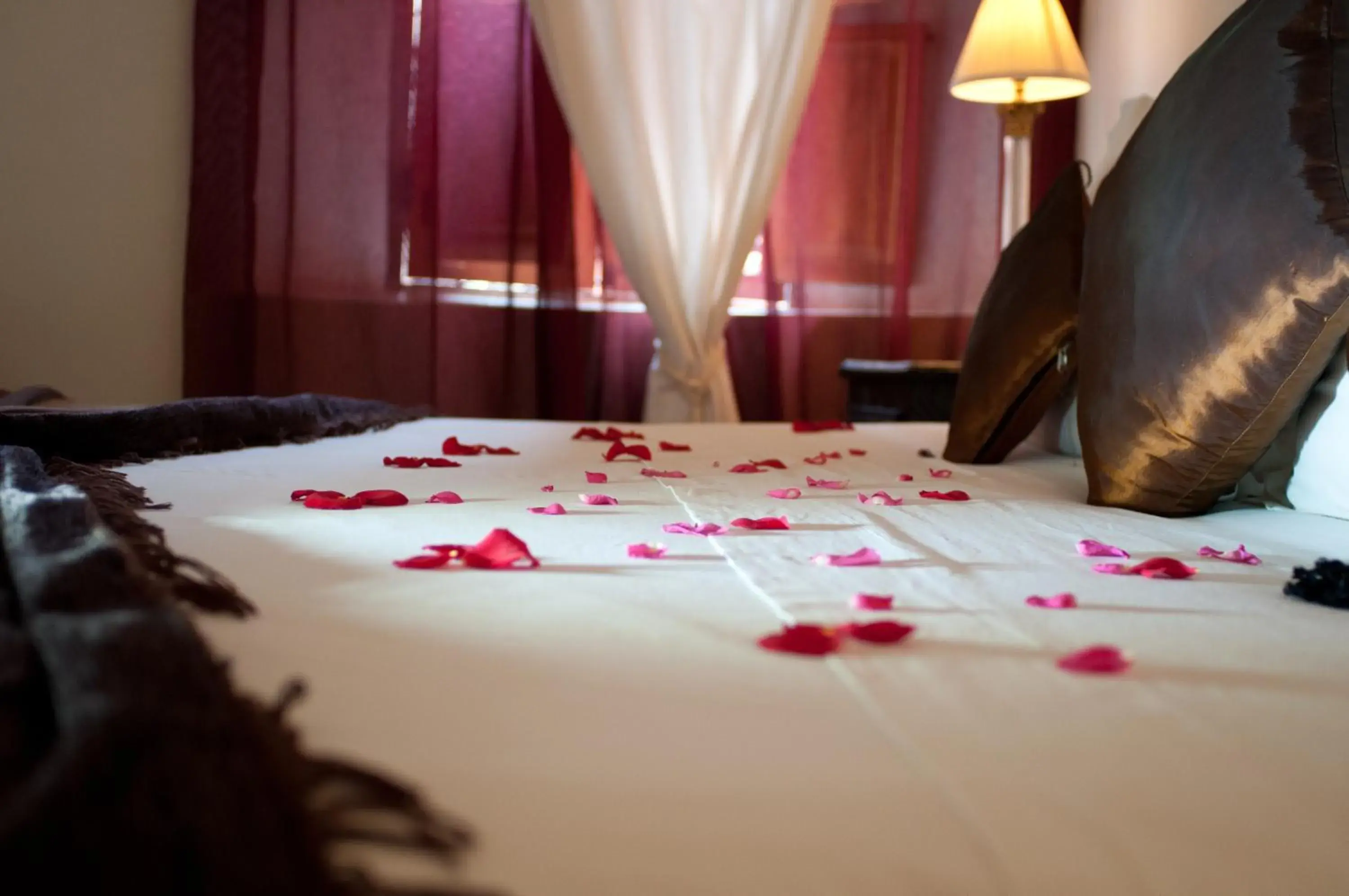 Douria Suite - single occupancy in Dar Rocmarra Douria Suite - single occupancy in Dar Rocmarra