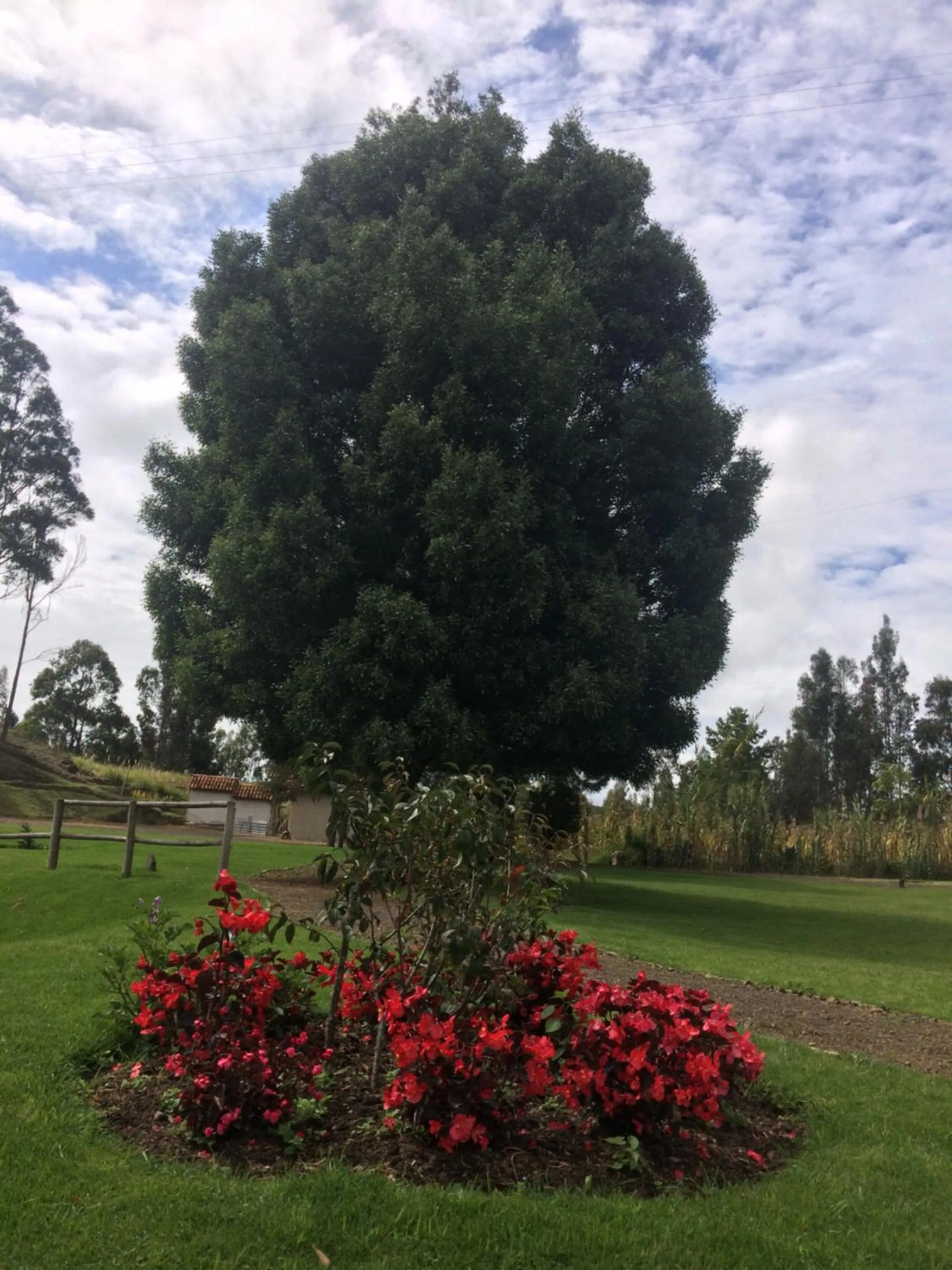 Garden in Killary Lodge & Glamping