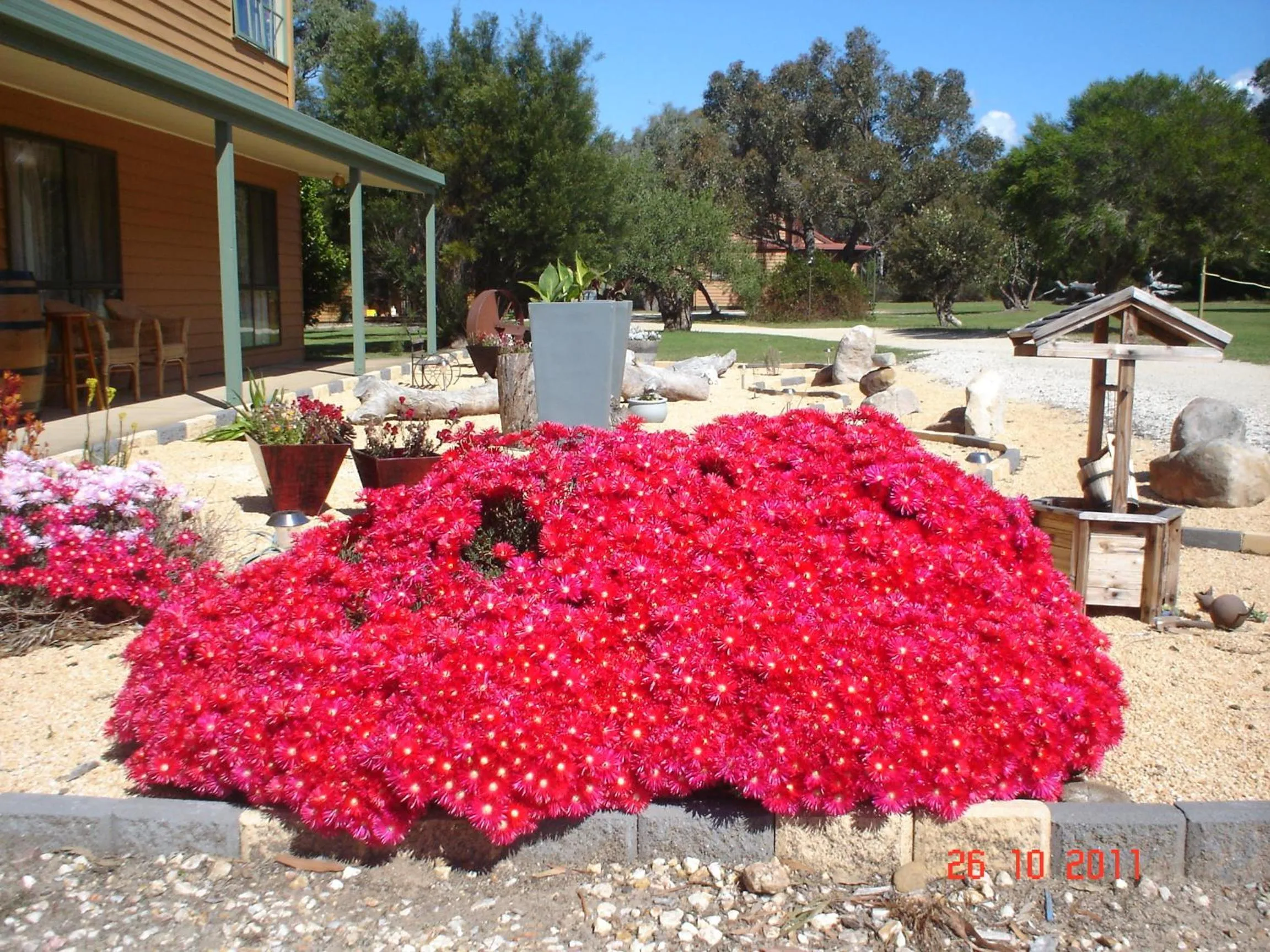 Garden in Mountain View Motor Inn & Holiday Lodges