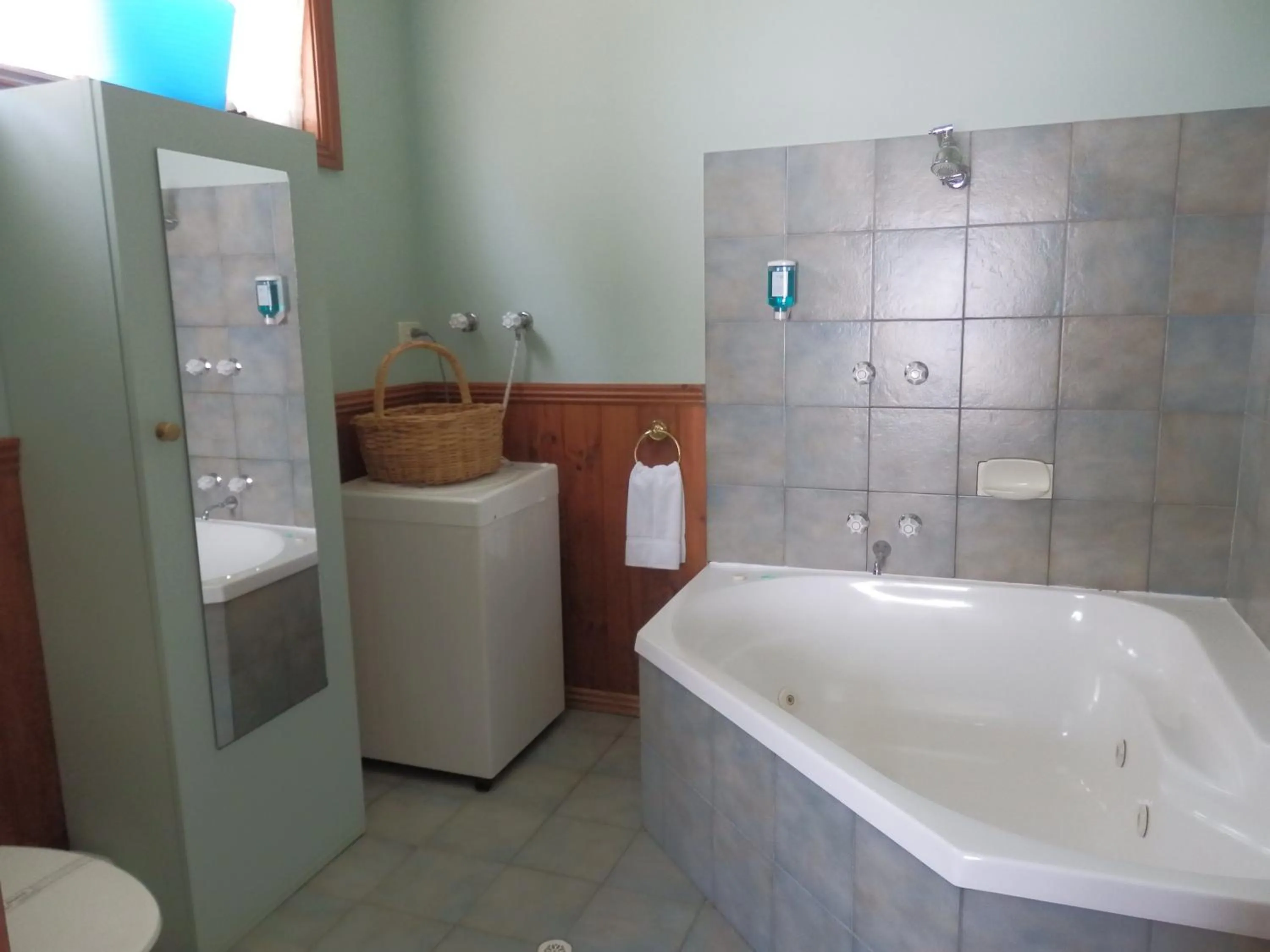 Bathroom in Mountain View Motor Inn & Holiday Lodges