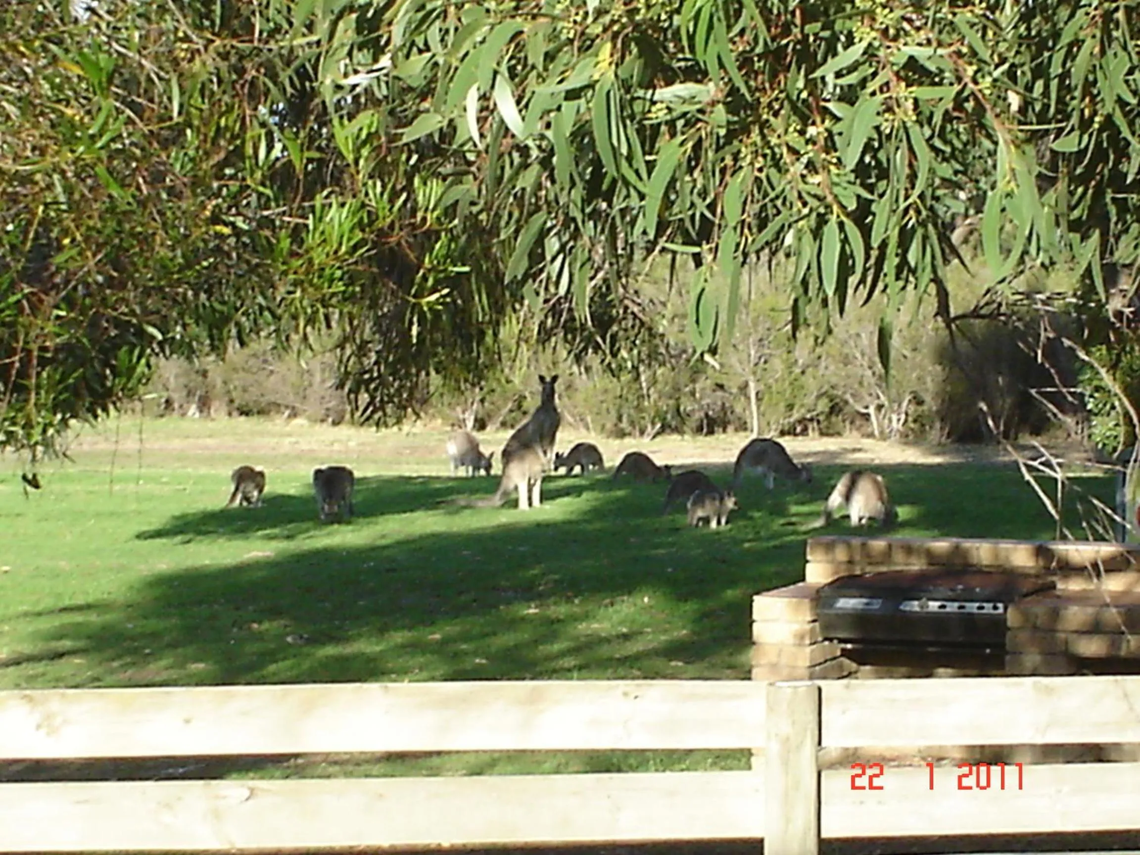 Area and facilities in Mountain View Motor Inn & Holiday Lodges