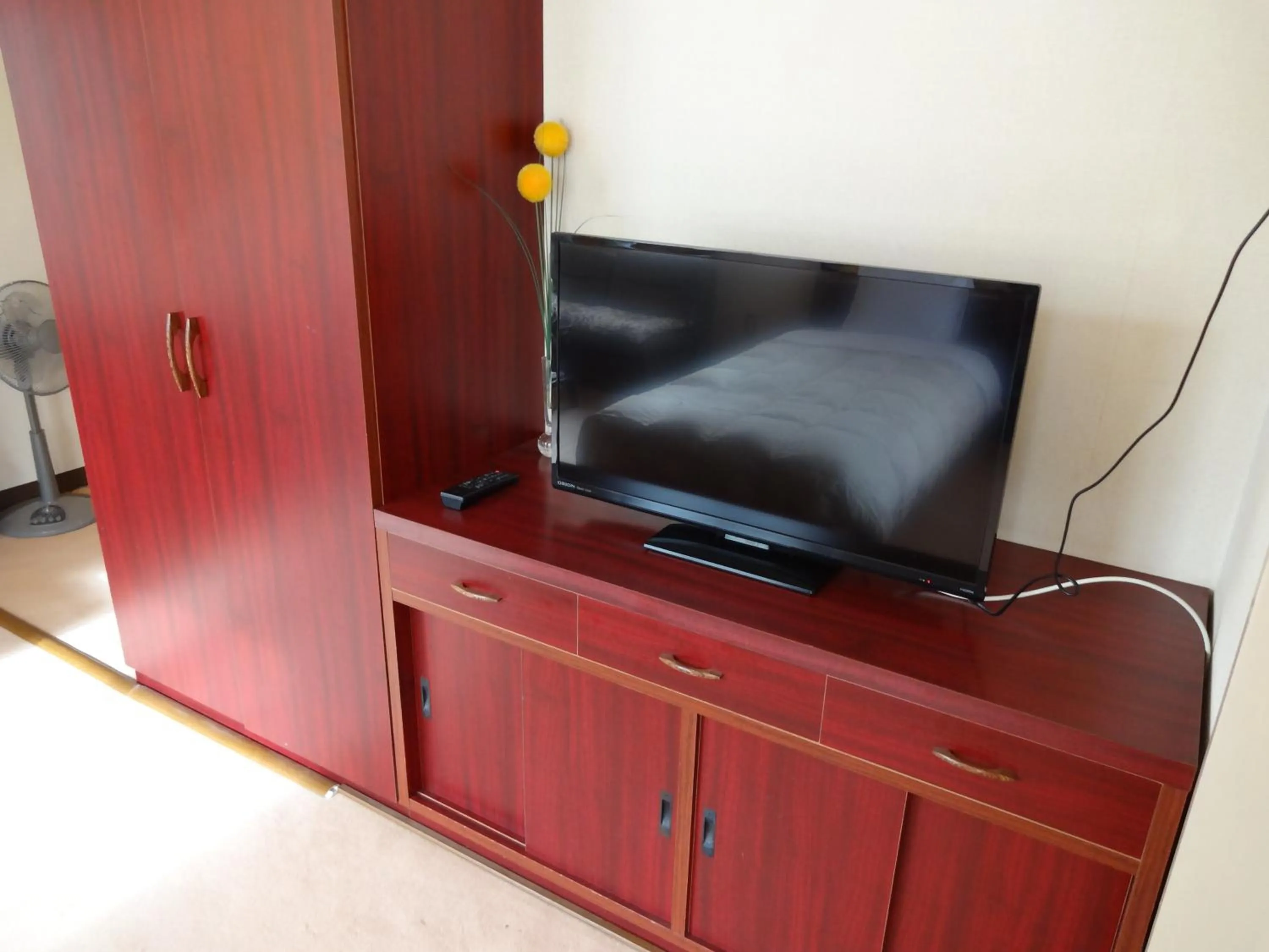 TV and multimedia in Okunikko Park Lodge Miyama