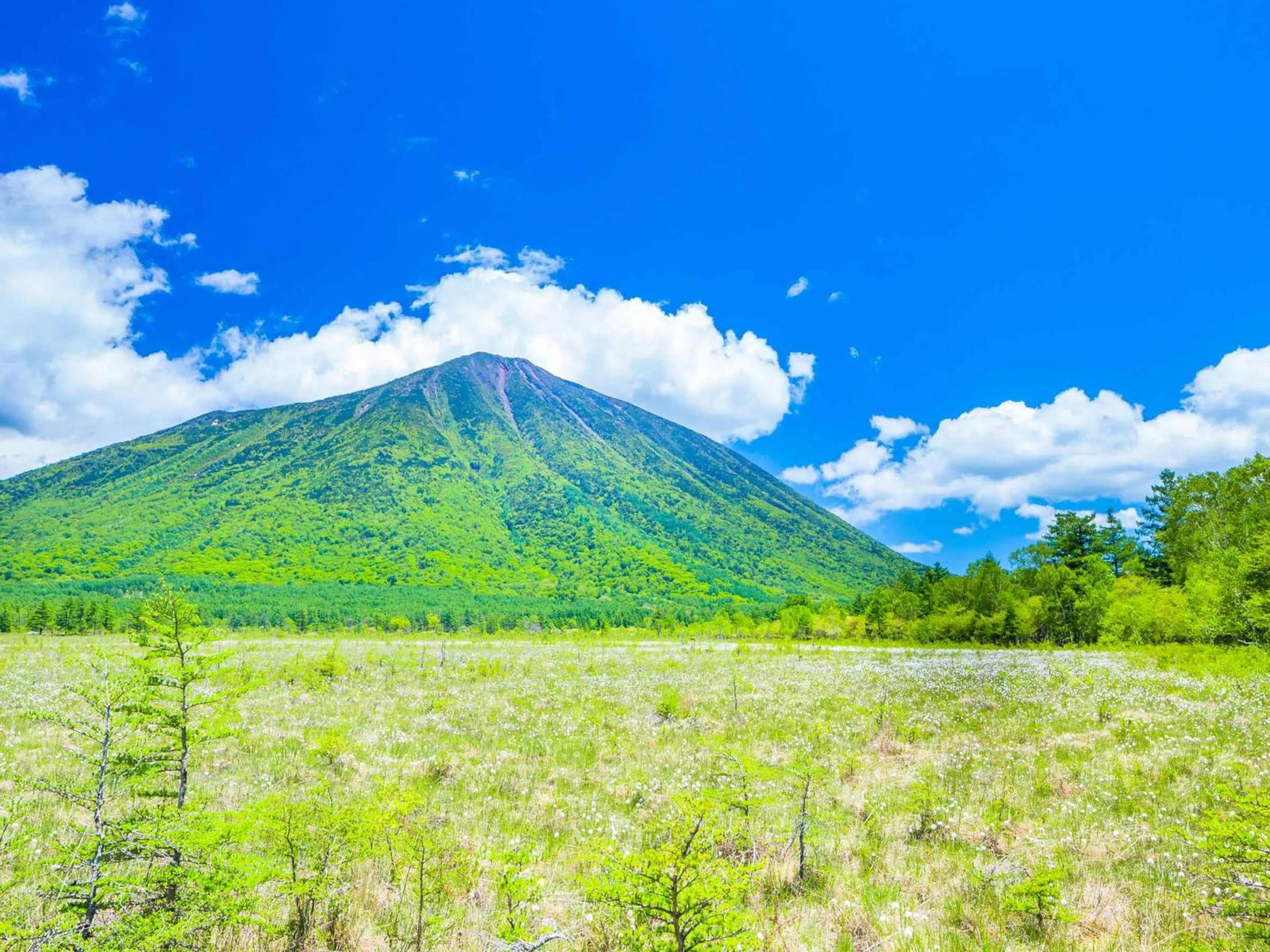 Natural landscape in Okunikko Park Lodge Miyama