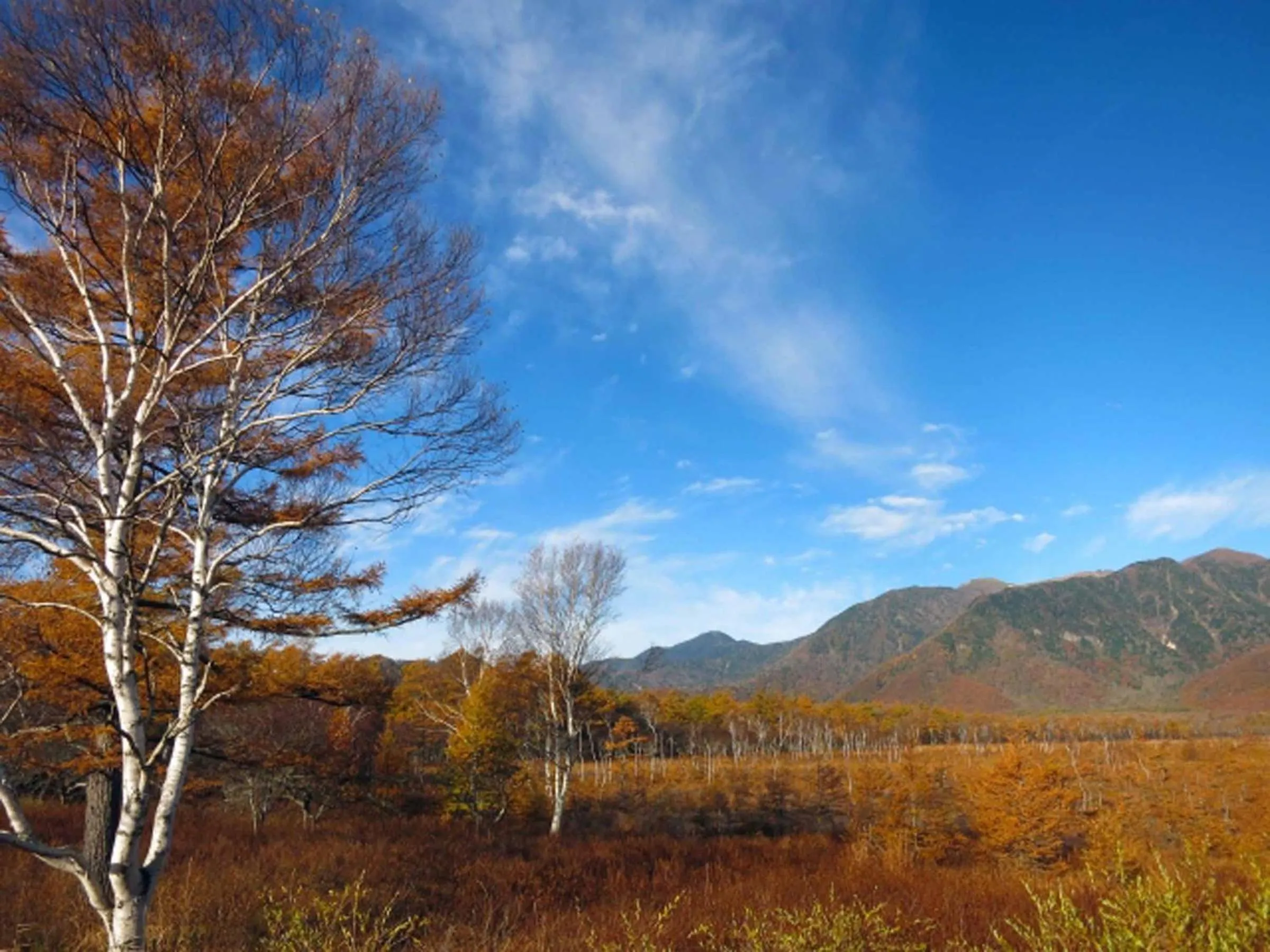 Natural landscape in Okunikko Park Lodge Miyama
