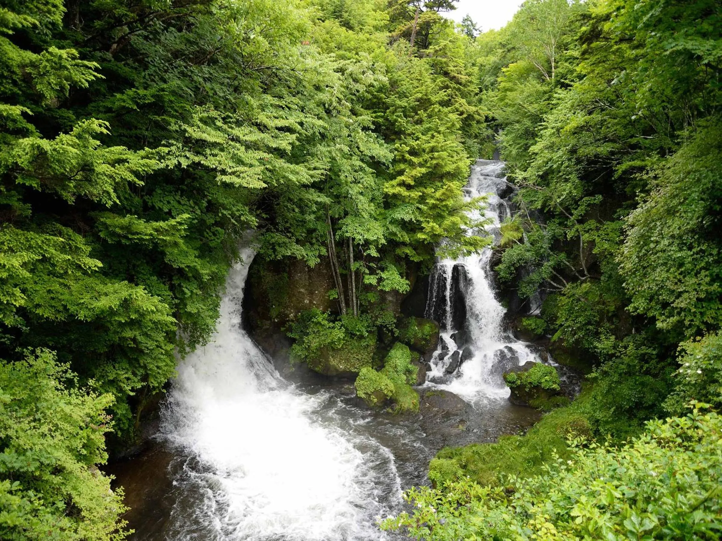 Natural landscape in Okunikko Park Lodge Miyama