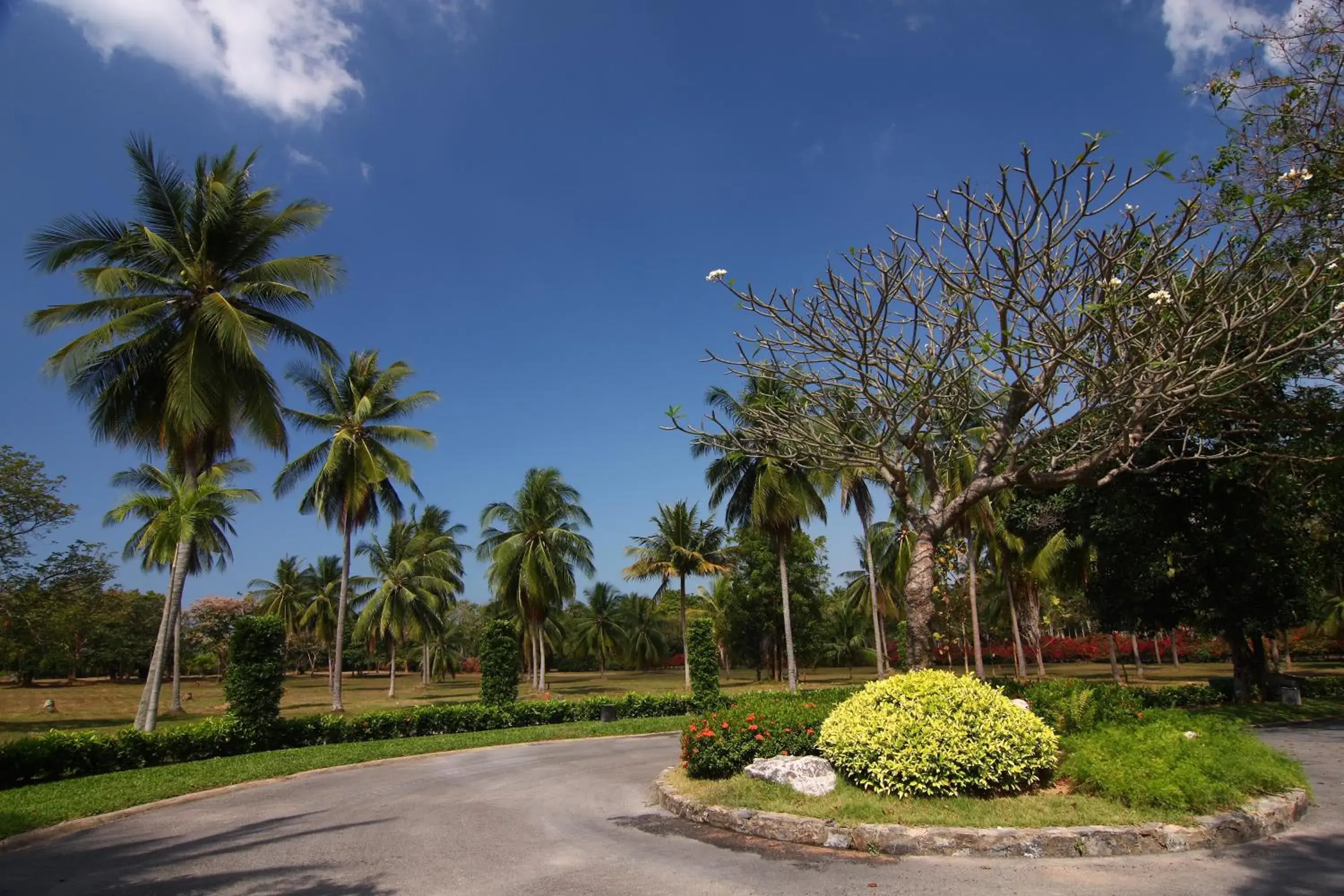 Garden in Tamarind Exclusive Villa