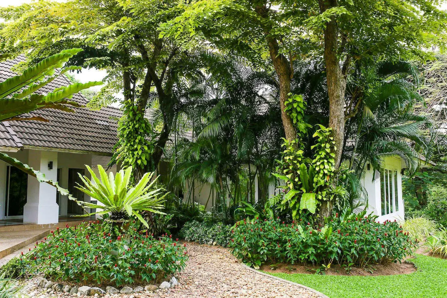 Garden, Property Building in Tamarind Exclusive Villa