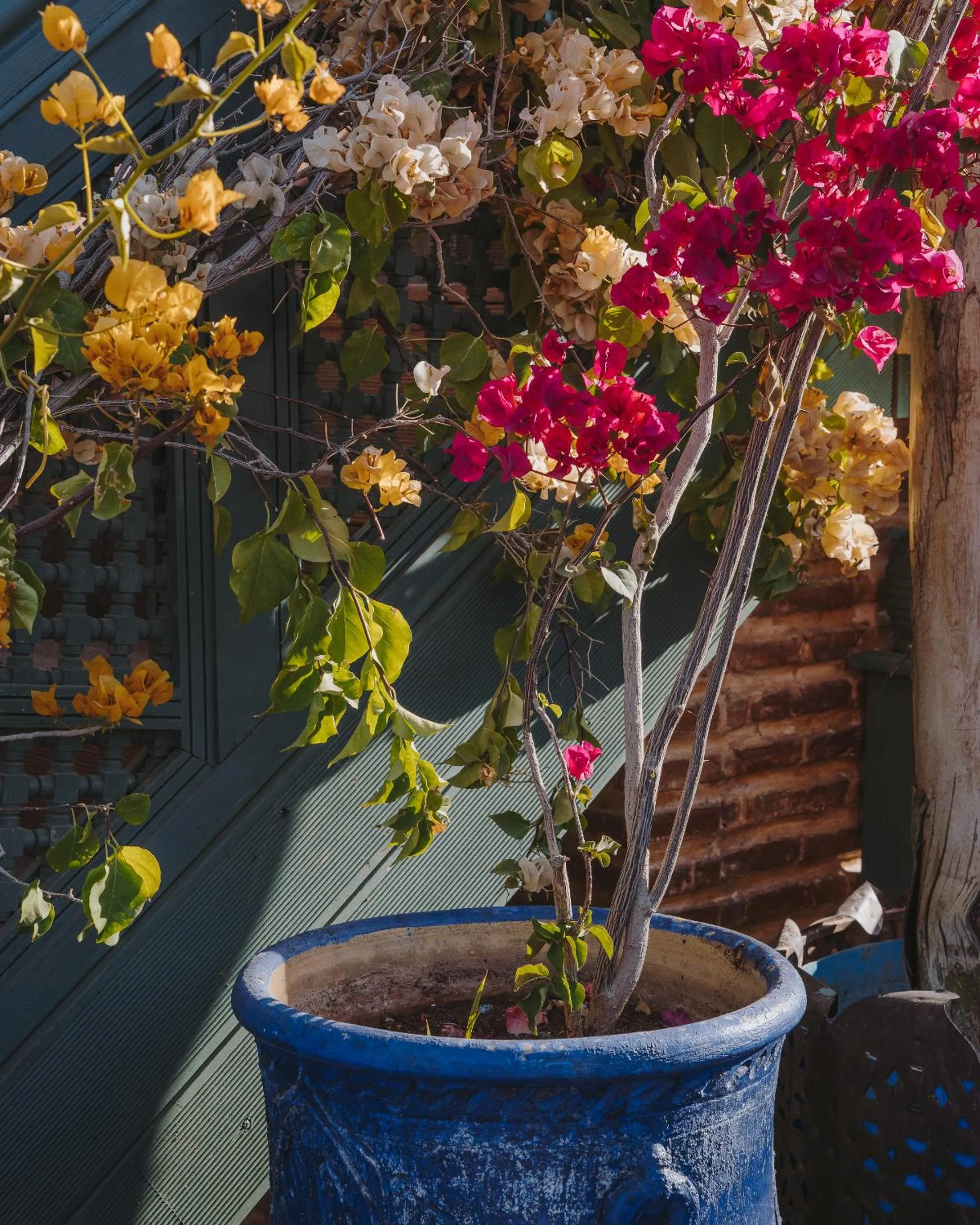 Balcony/Terrace in Elegancia Riad Boutique & SPA