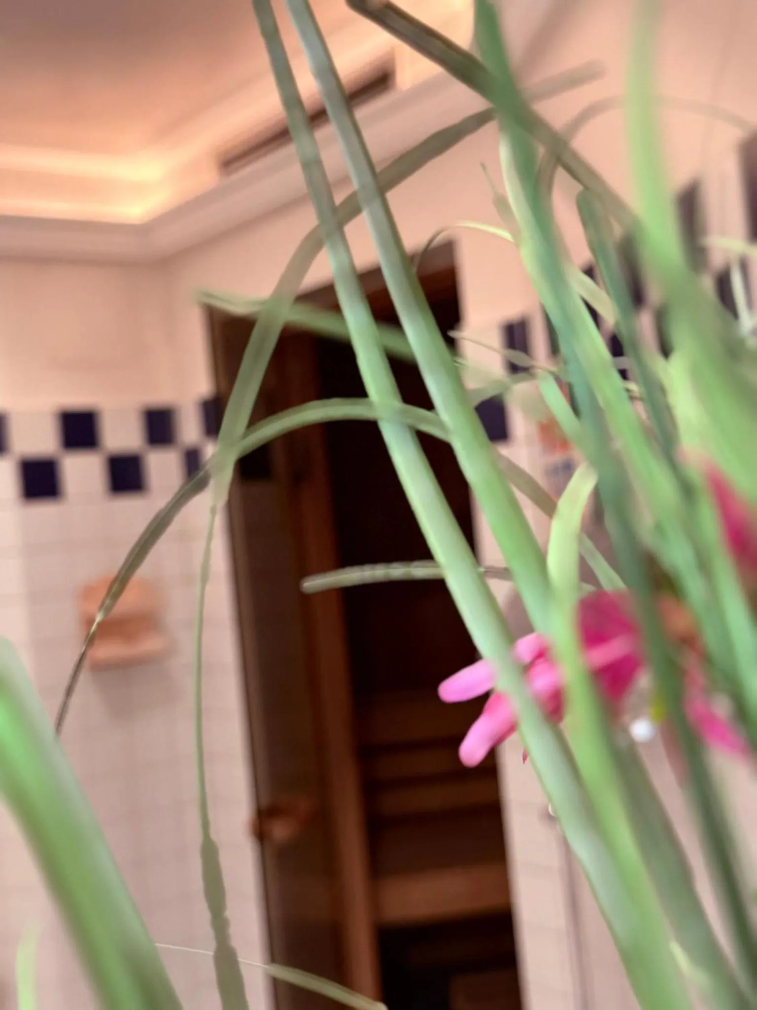 Sauna in Hotel Standlhof Zillertal