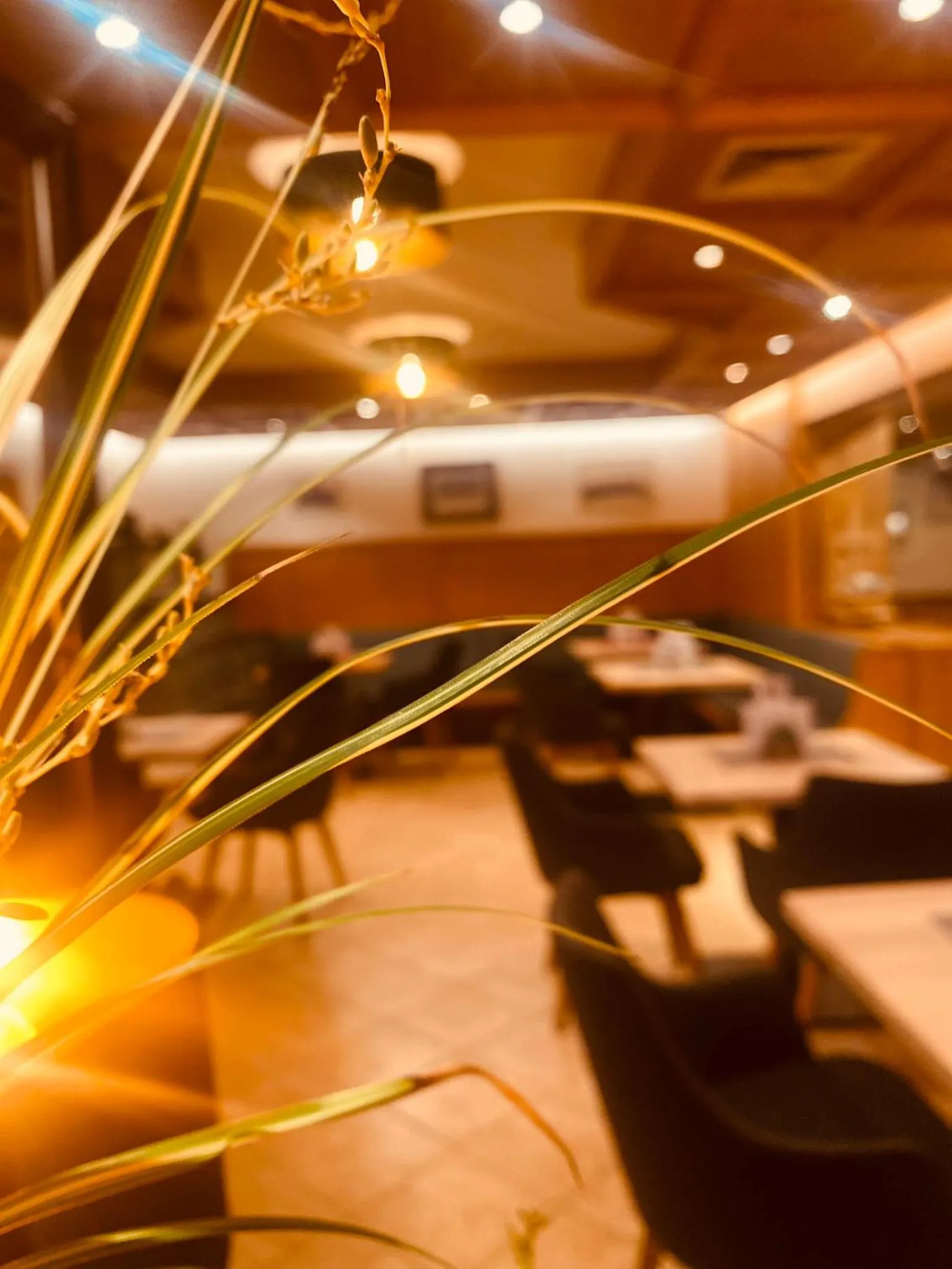 Restaurant/places to eat in Hotel Standlhof Zillertal