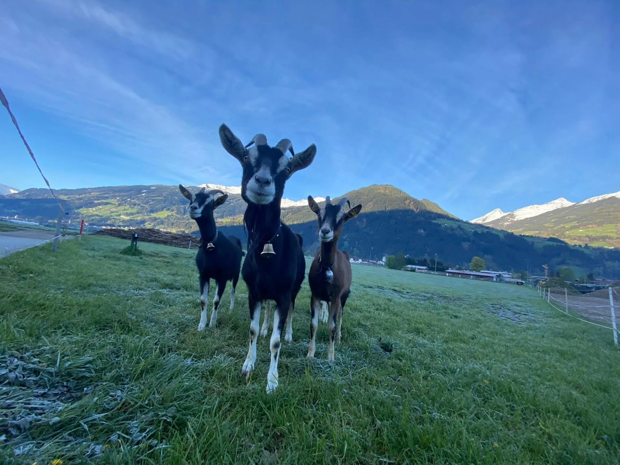 Natural landscape in Hotel Standlhof Zillertal