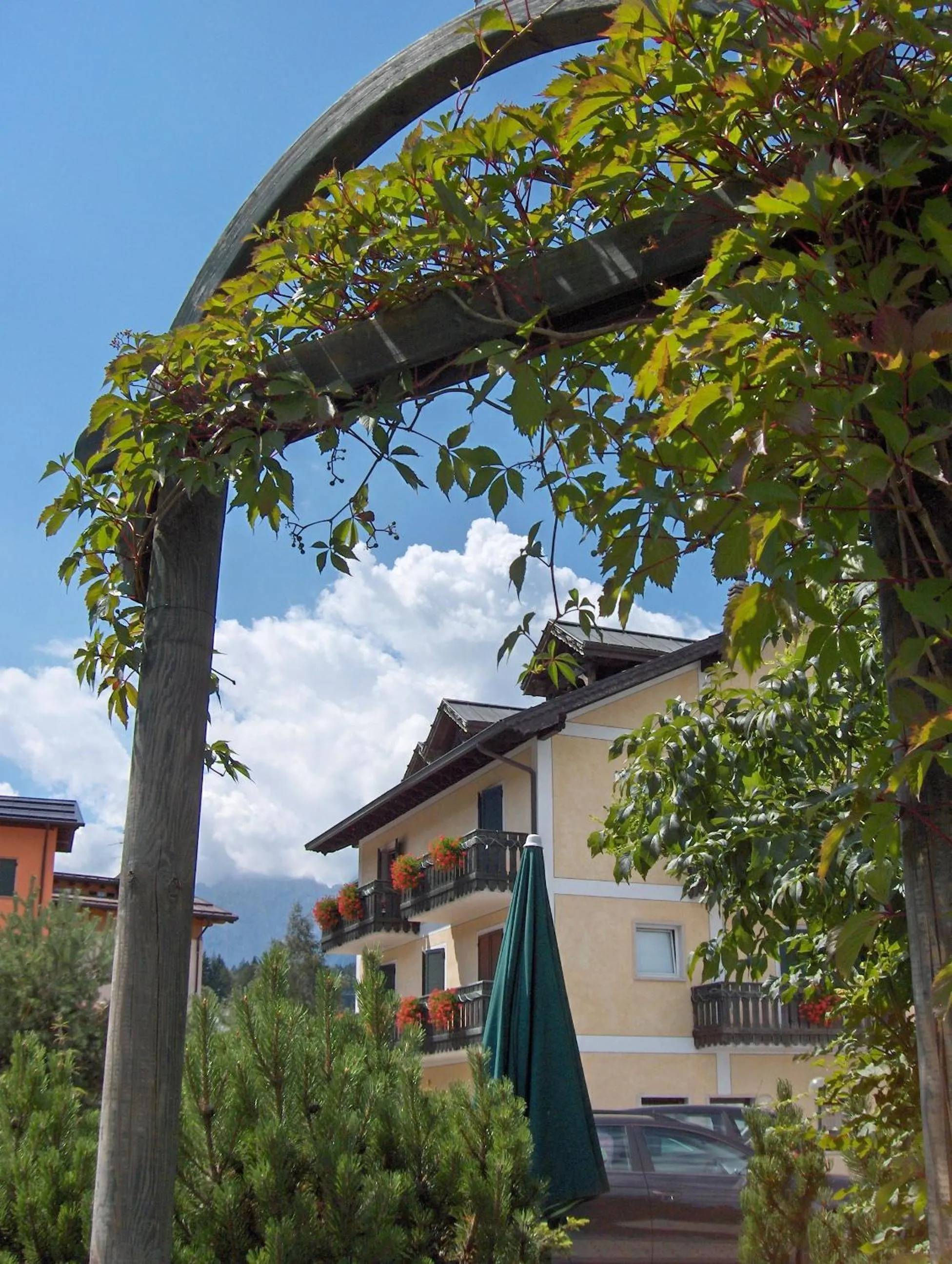 Area and facilities in Hotel Allo Zodiaco