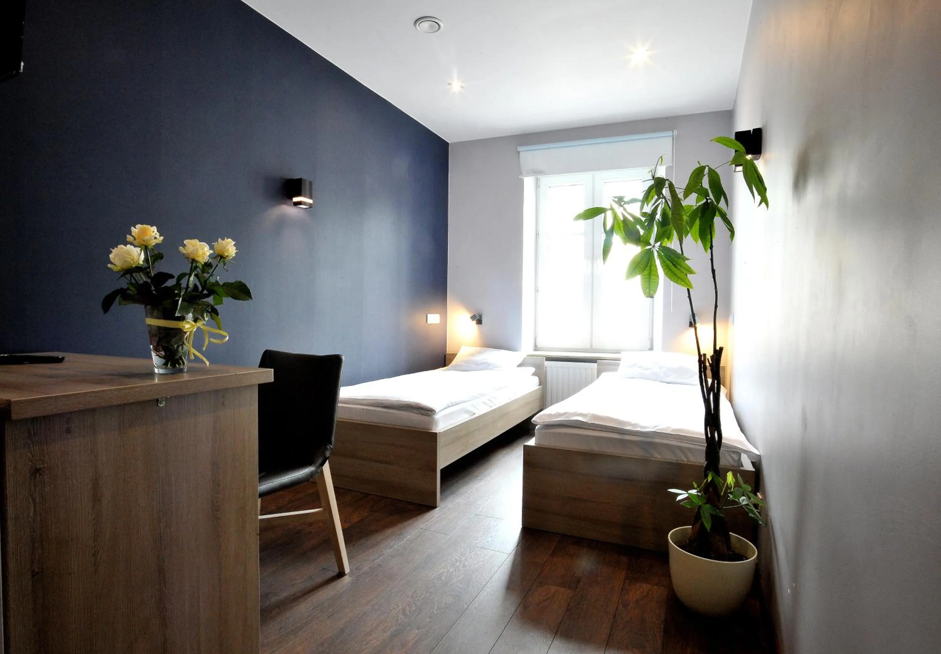 Photo of the whole room, Bed in Hostel Promenada