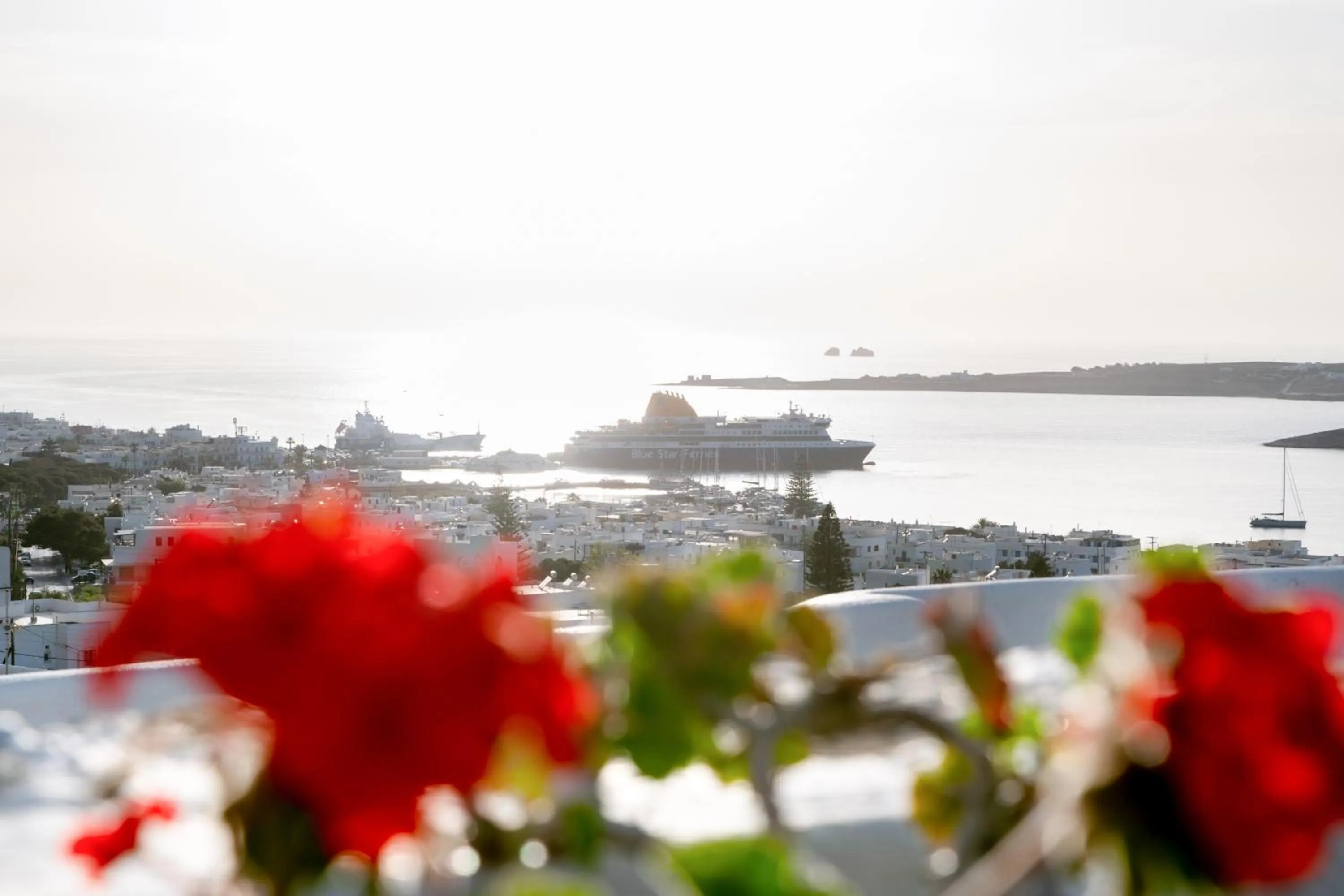 Balcony/Terrace in Sunset View Hotel